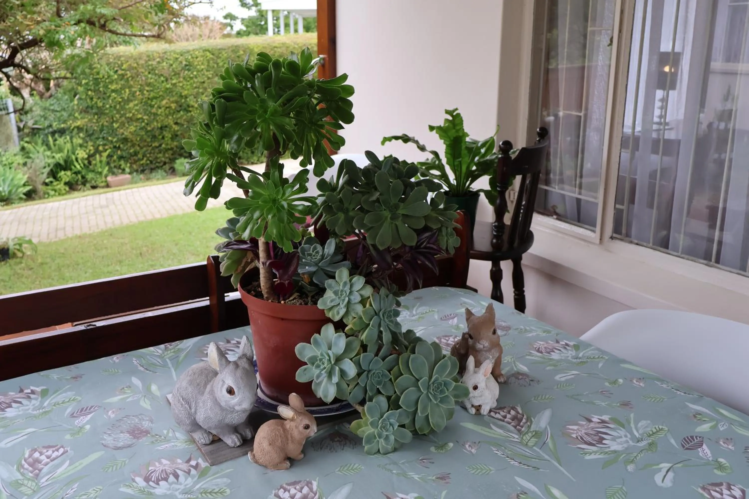 Patio in Aalkie's Dream