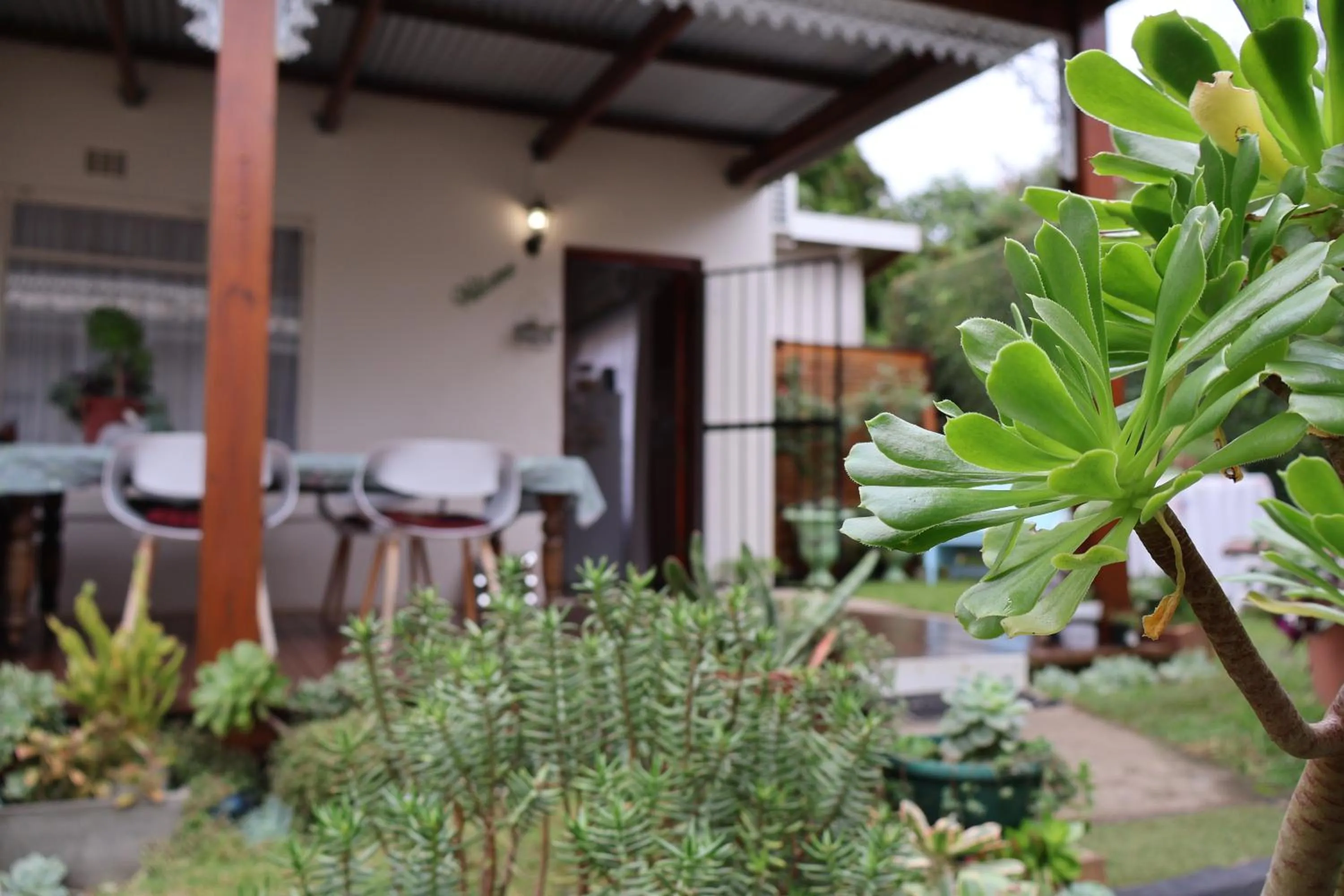 Patio in Aalkie's Dream