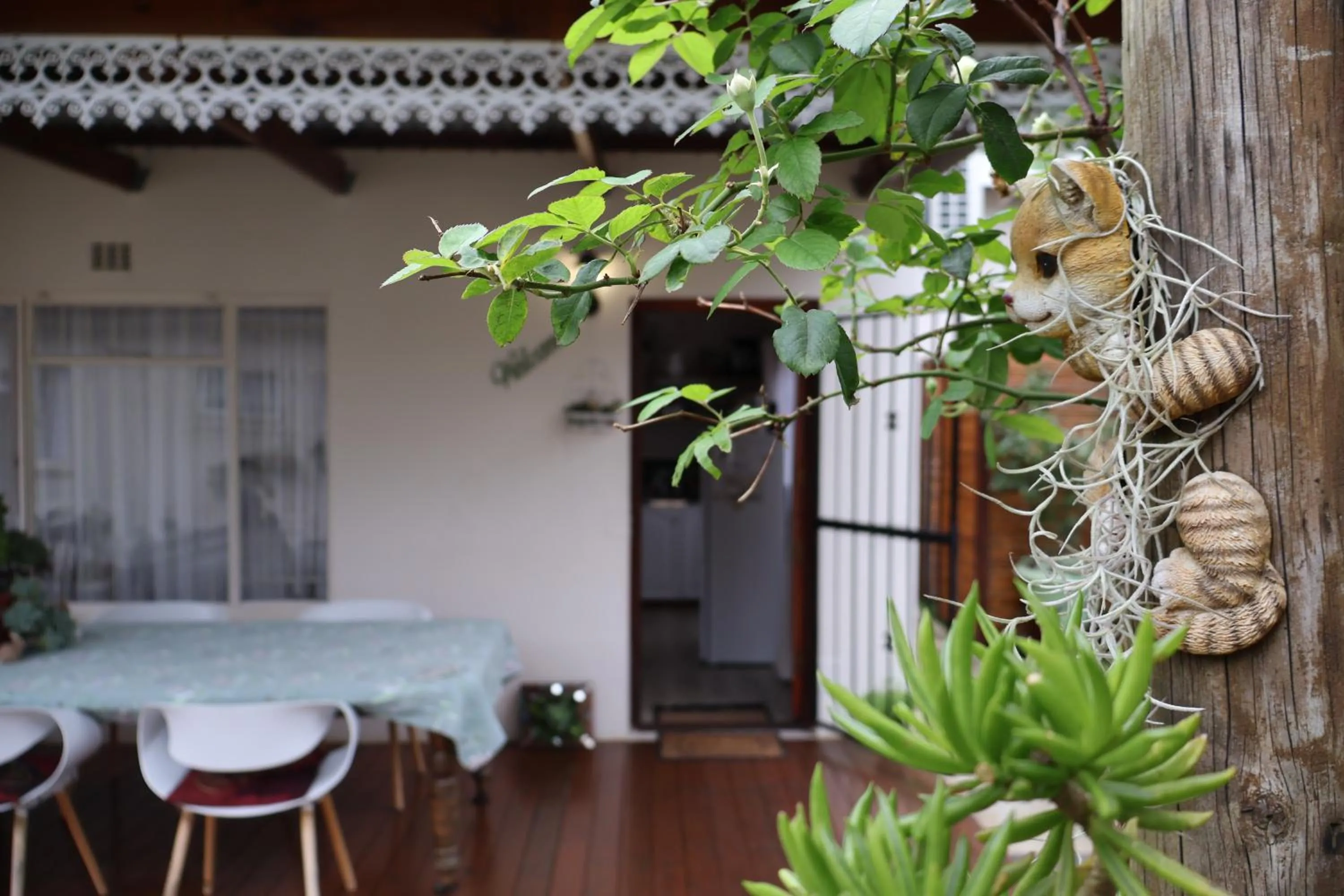 Patio in Aalkie's Dream