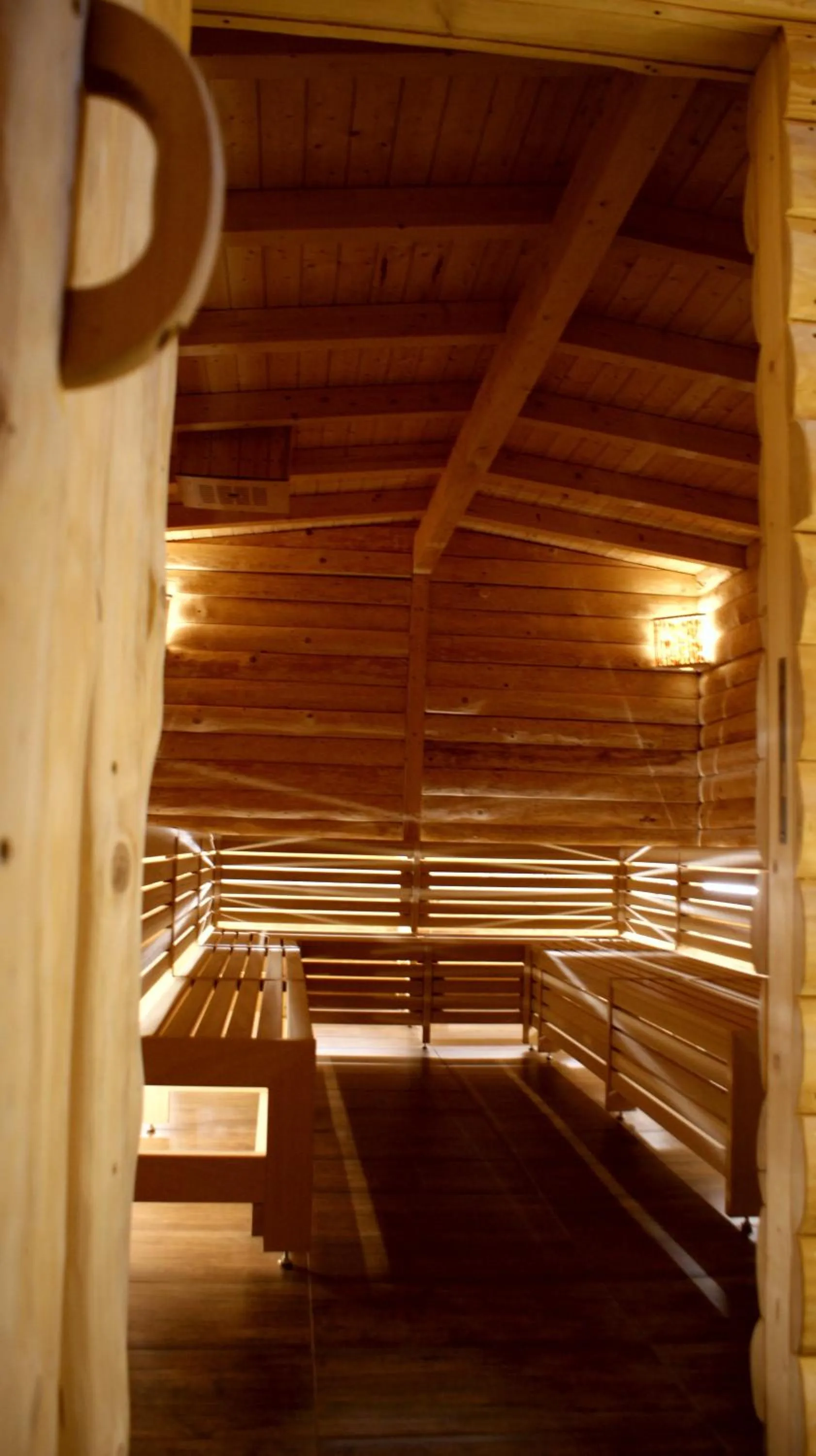 Spa and wellness centre/facilities in Alpina Lodge Hotel Oberwiesenthal