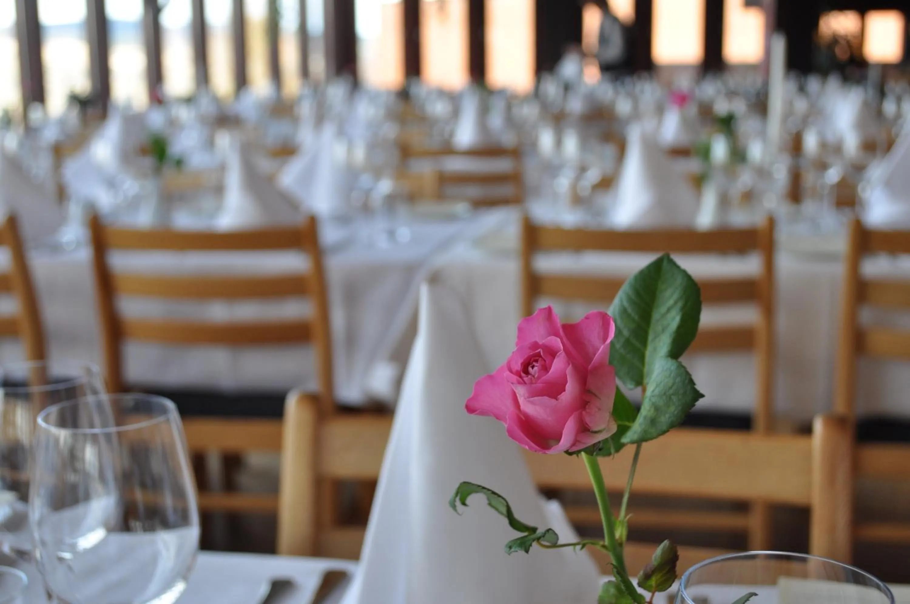 Restaurant/places to eat in Honne Hotell