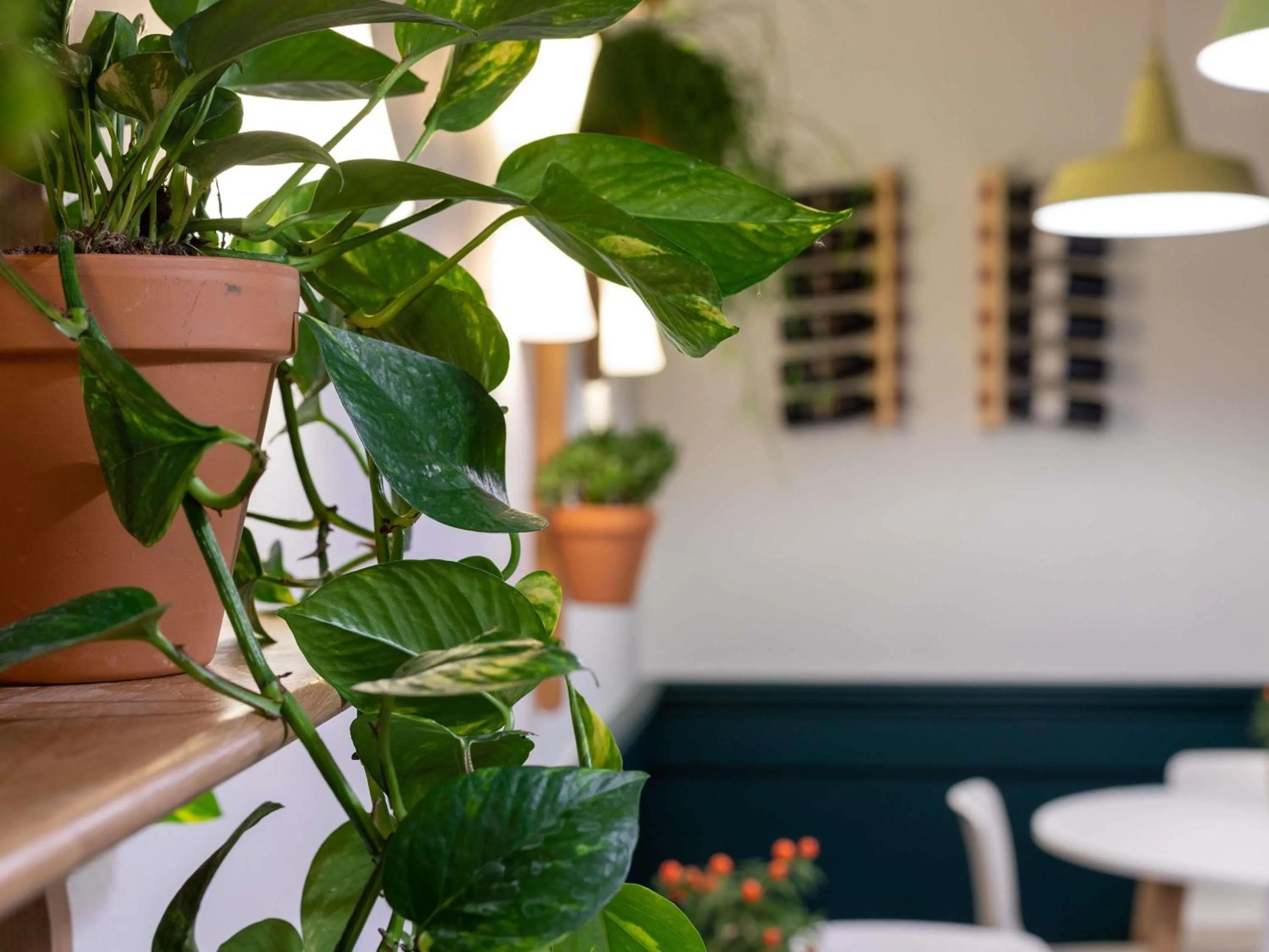 Restaurant/places to eat in ibis Dunkerque