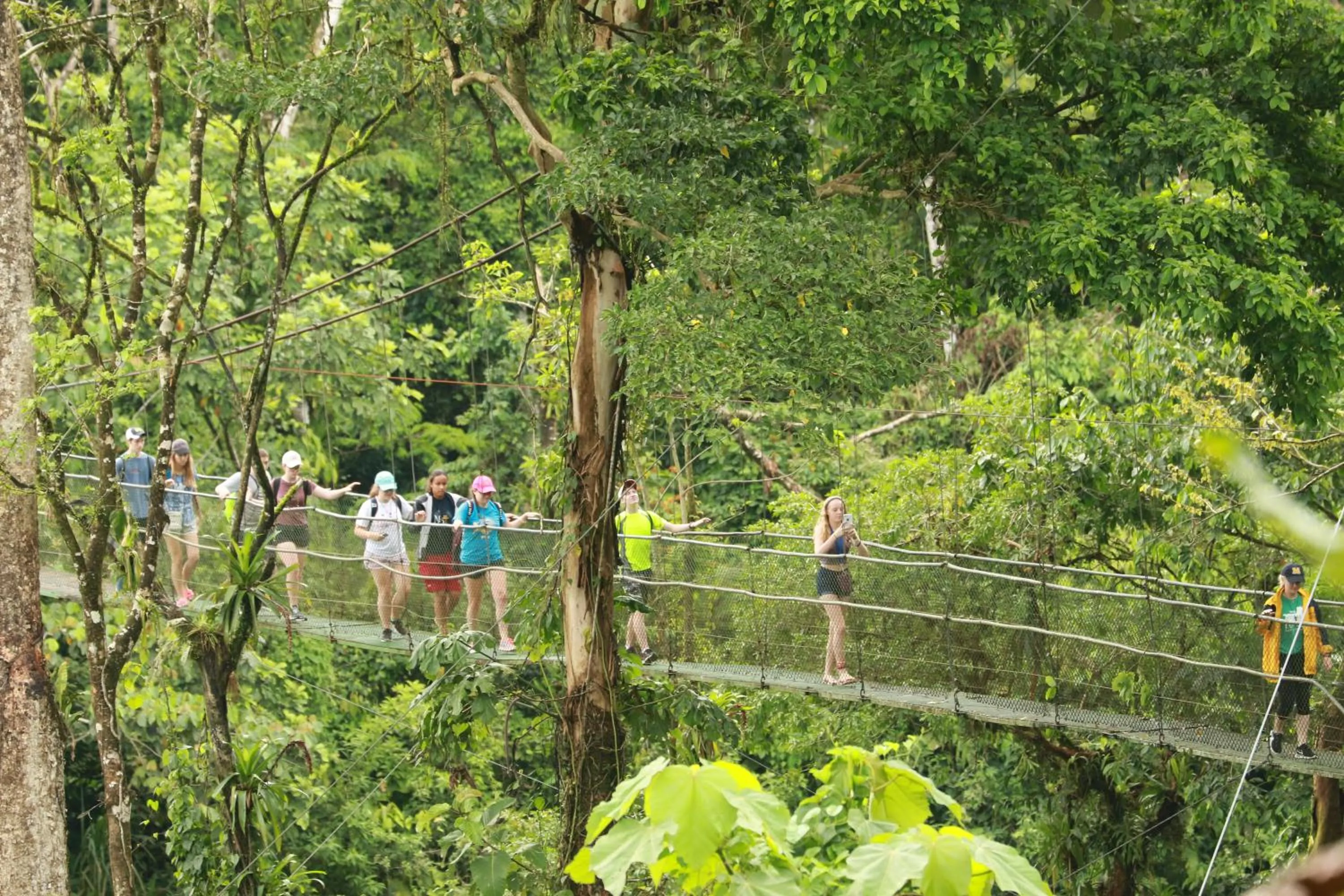 Area and facilities in Tirimbina Rainforest Lodge