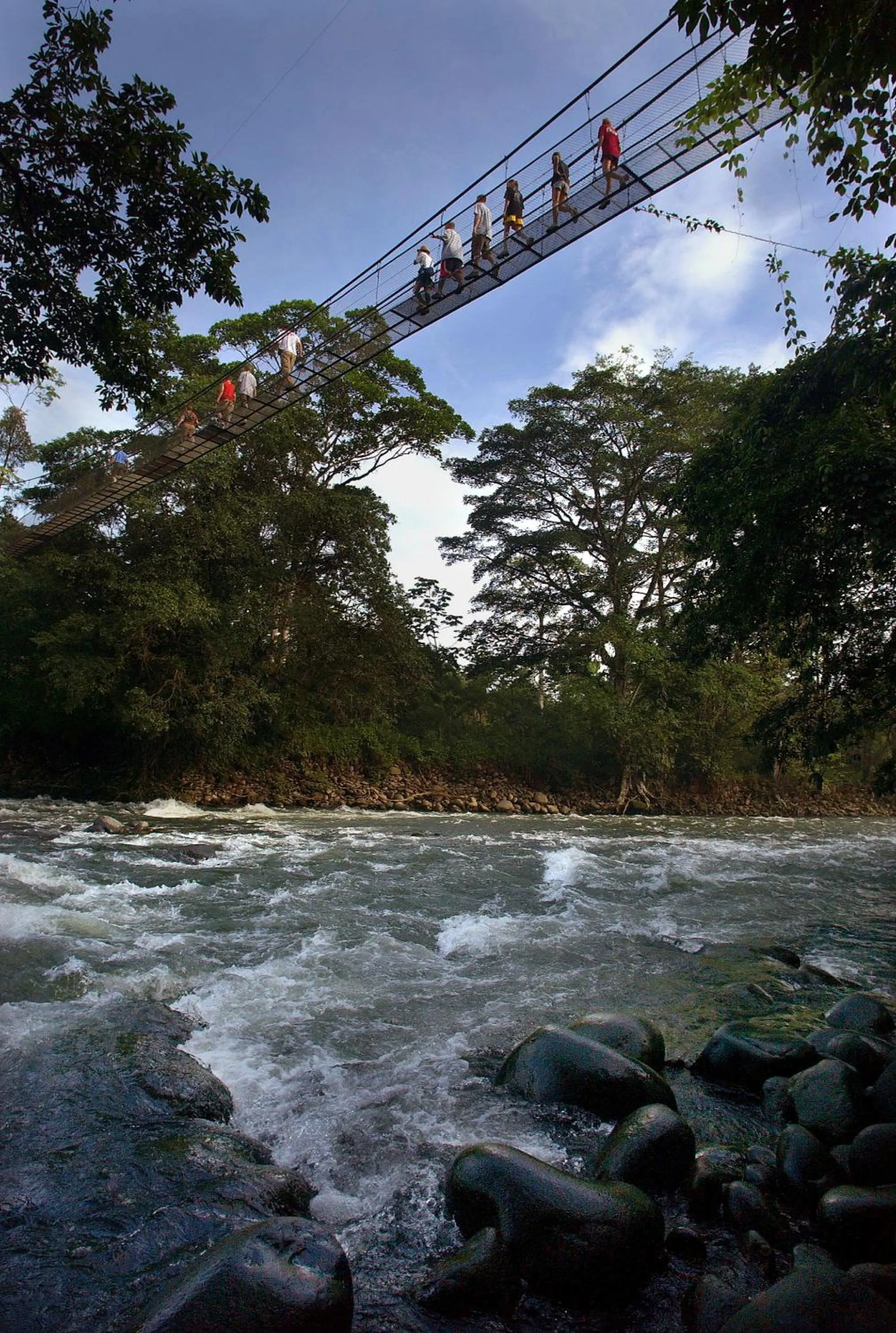 Natural landscape in Tirimbina Rainforest Lodge
