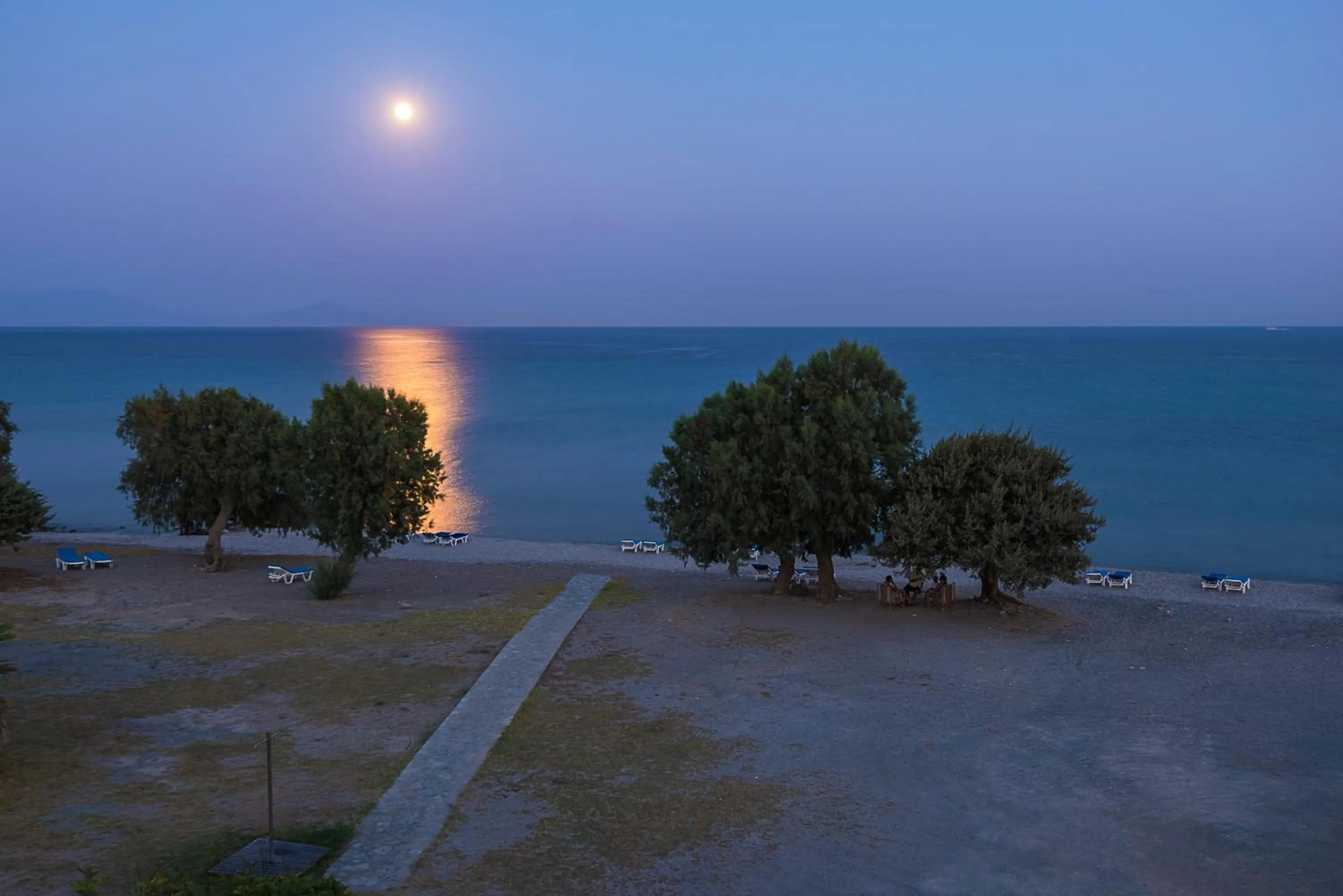 Night in Olympia Mare