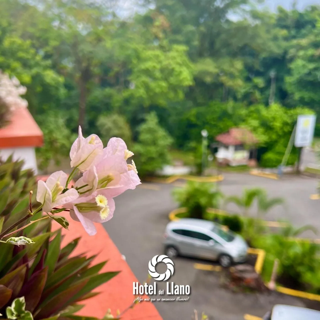 Parking in Hotel del Llano