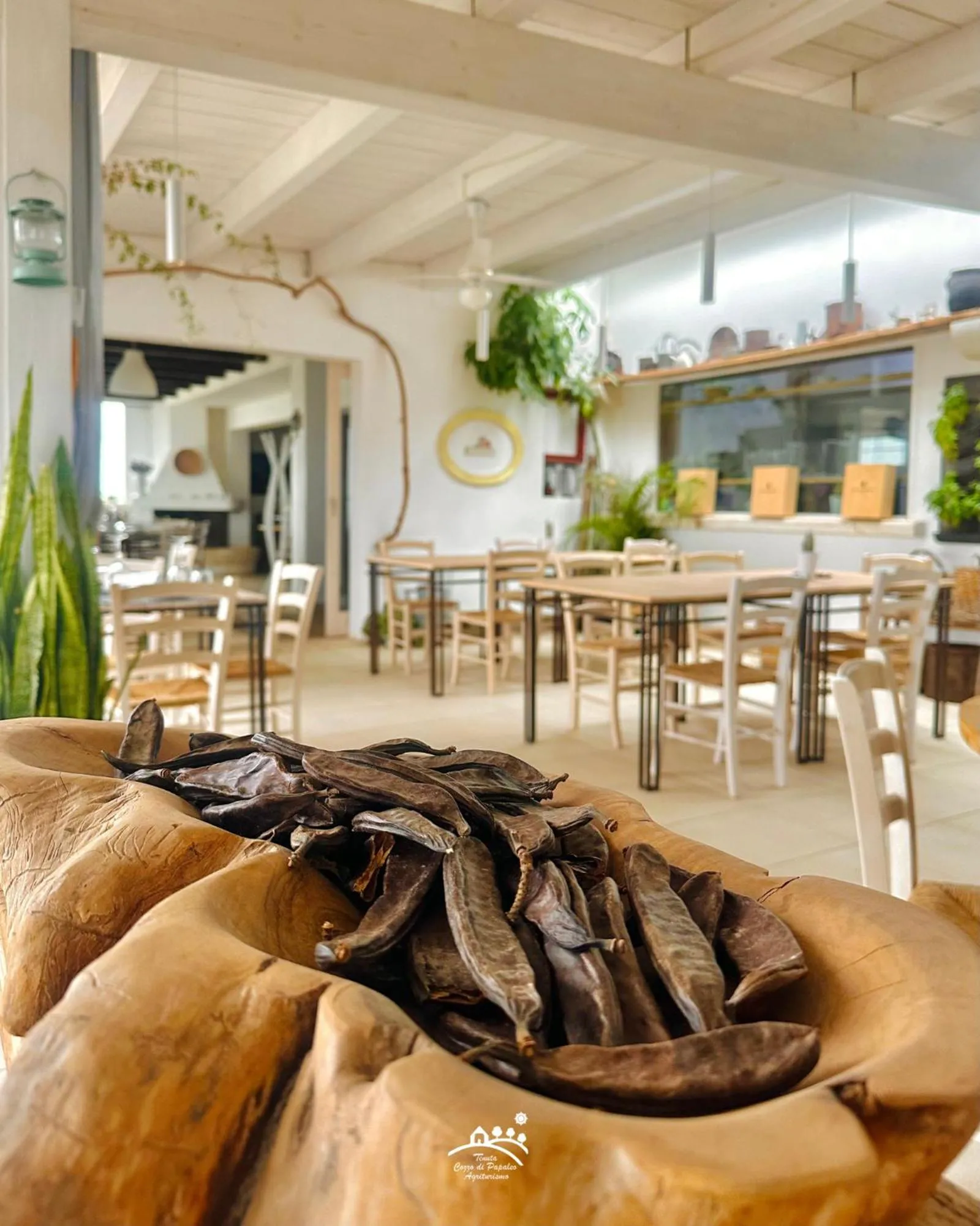 Restaurant/places to eat in Agriturismo Cozzo di Papaleo