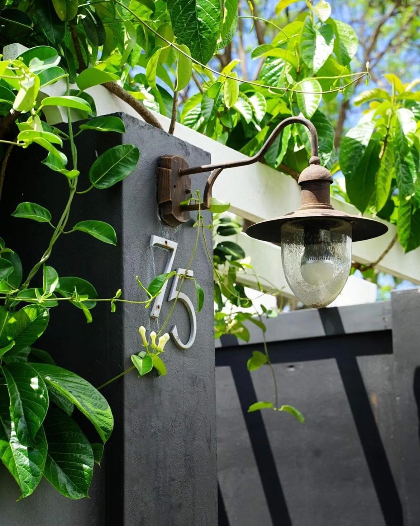 Spring in Edward Lodge New Fam