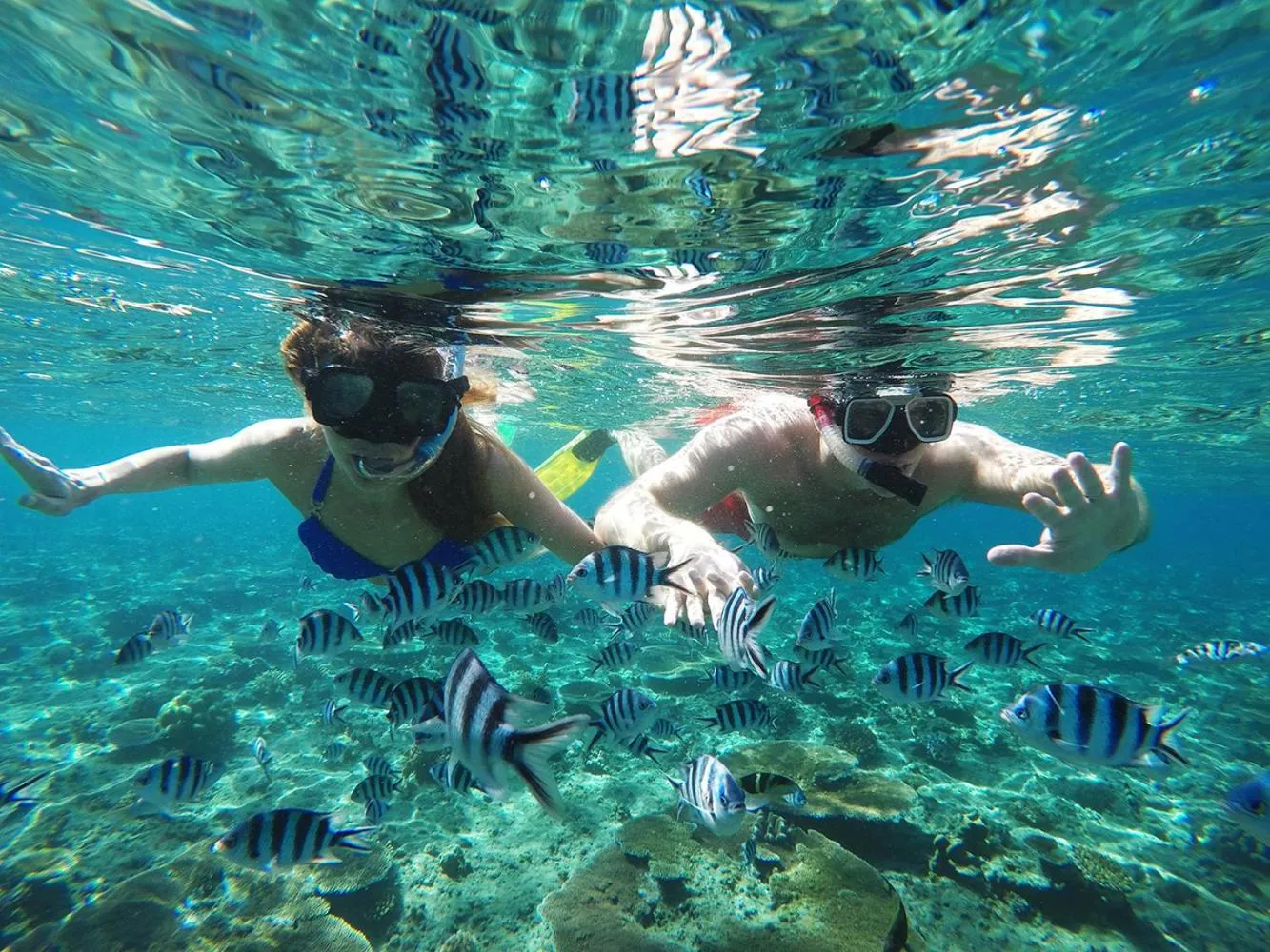 Activities in Tropica Island Resort-Adults Only