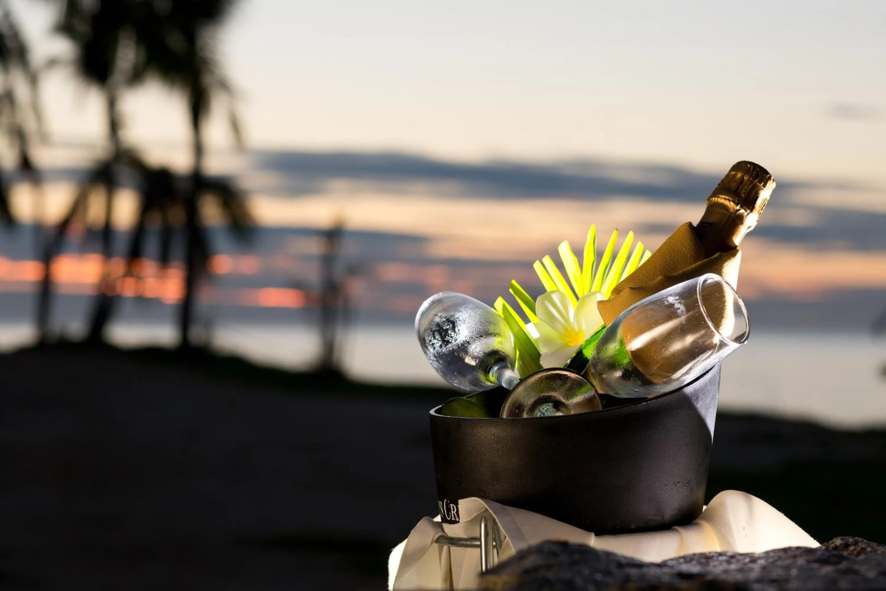 Drinks in Tropica Island Resort-Adults Only