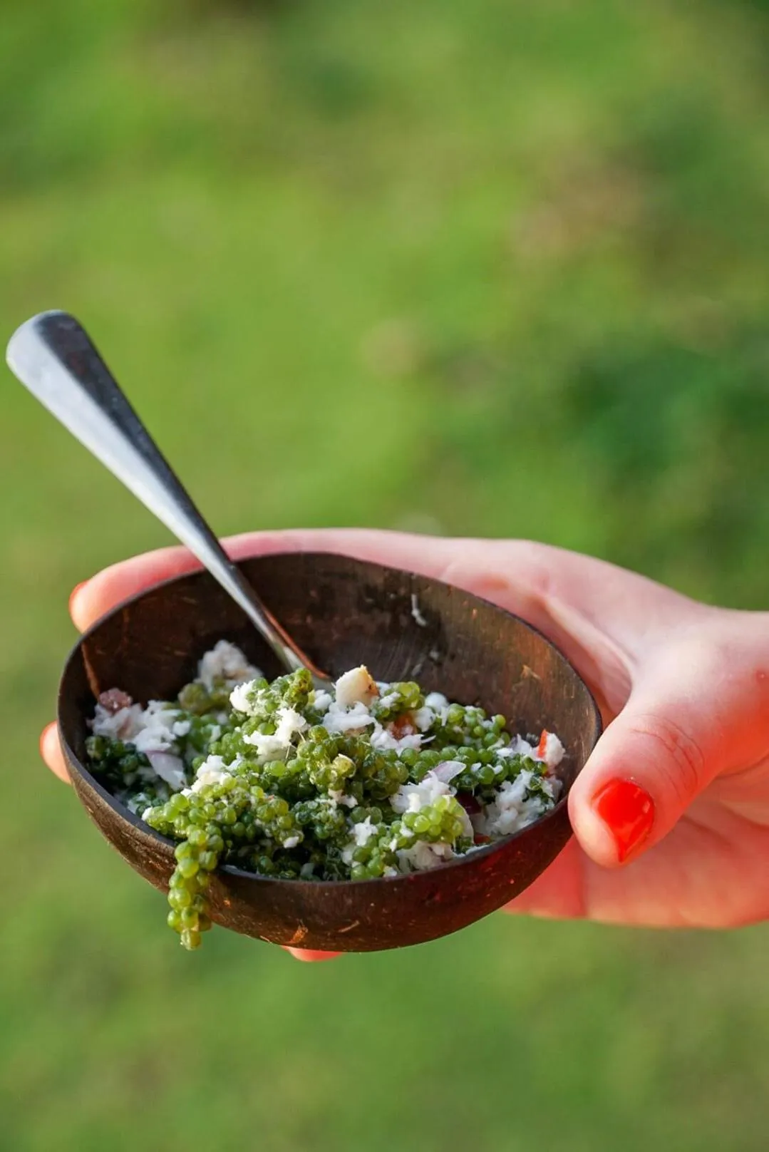 Food in Tropica Island Resort-Adults Only