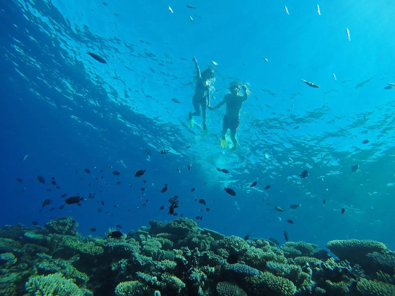 Activities in Tropica Island Resort-Adults Only