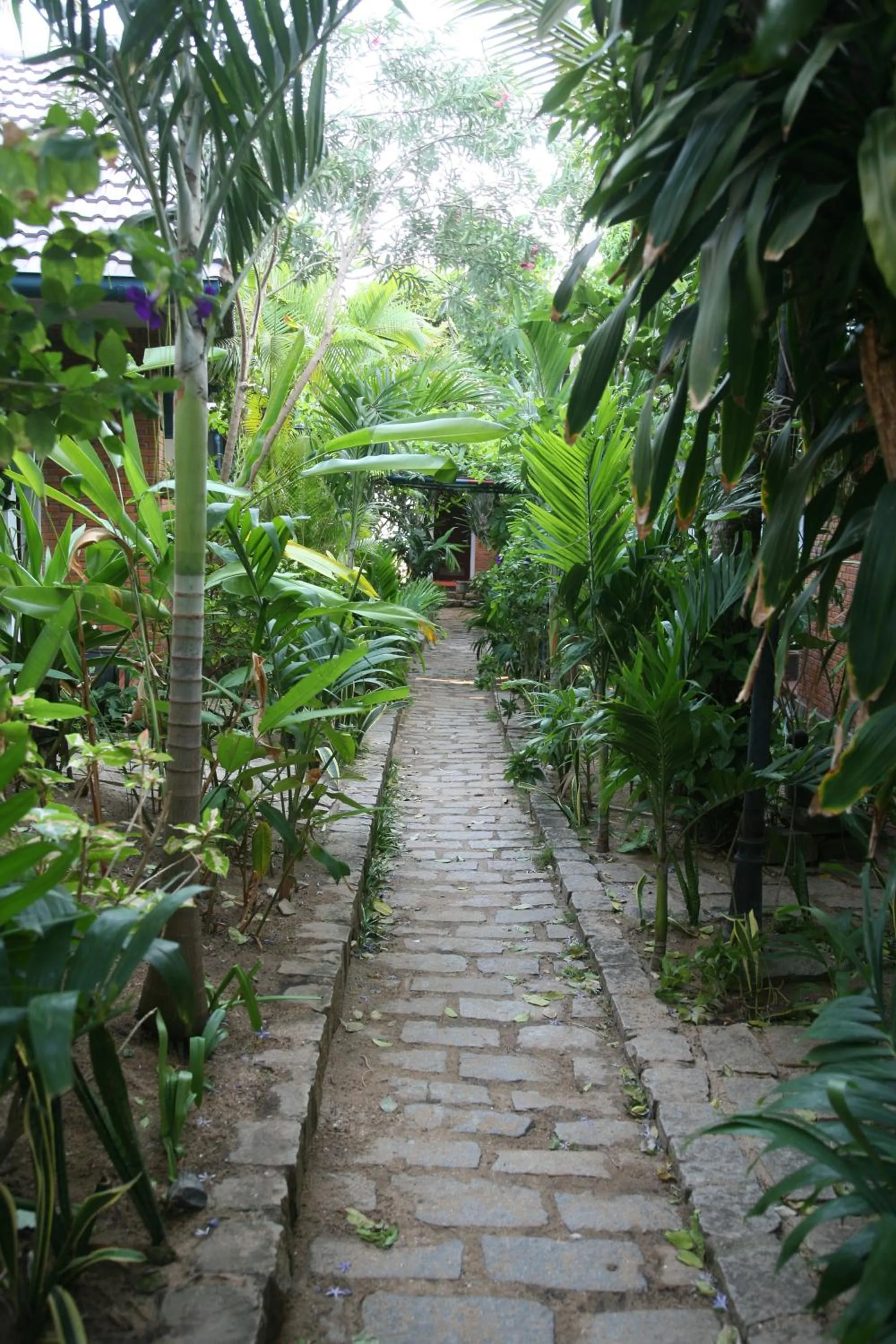 Garden in Mui Ne Resort