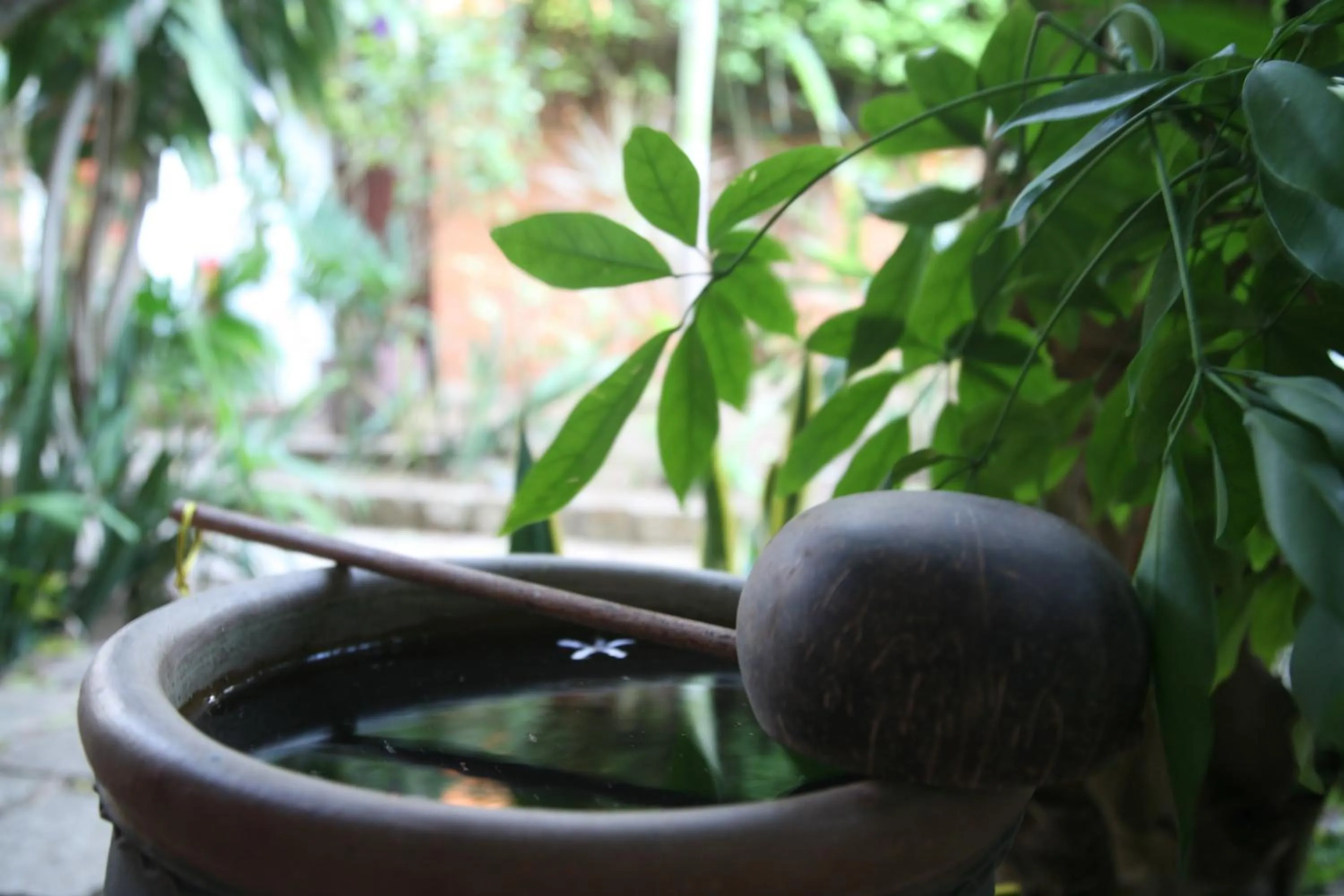 Garden in Mui Ne Resort