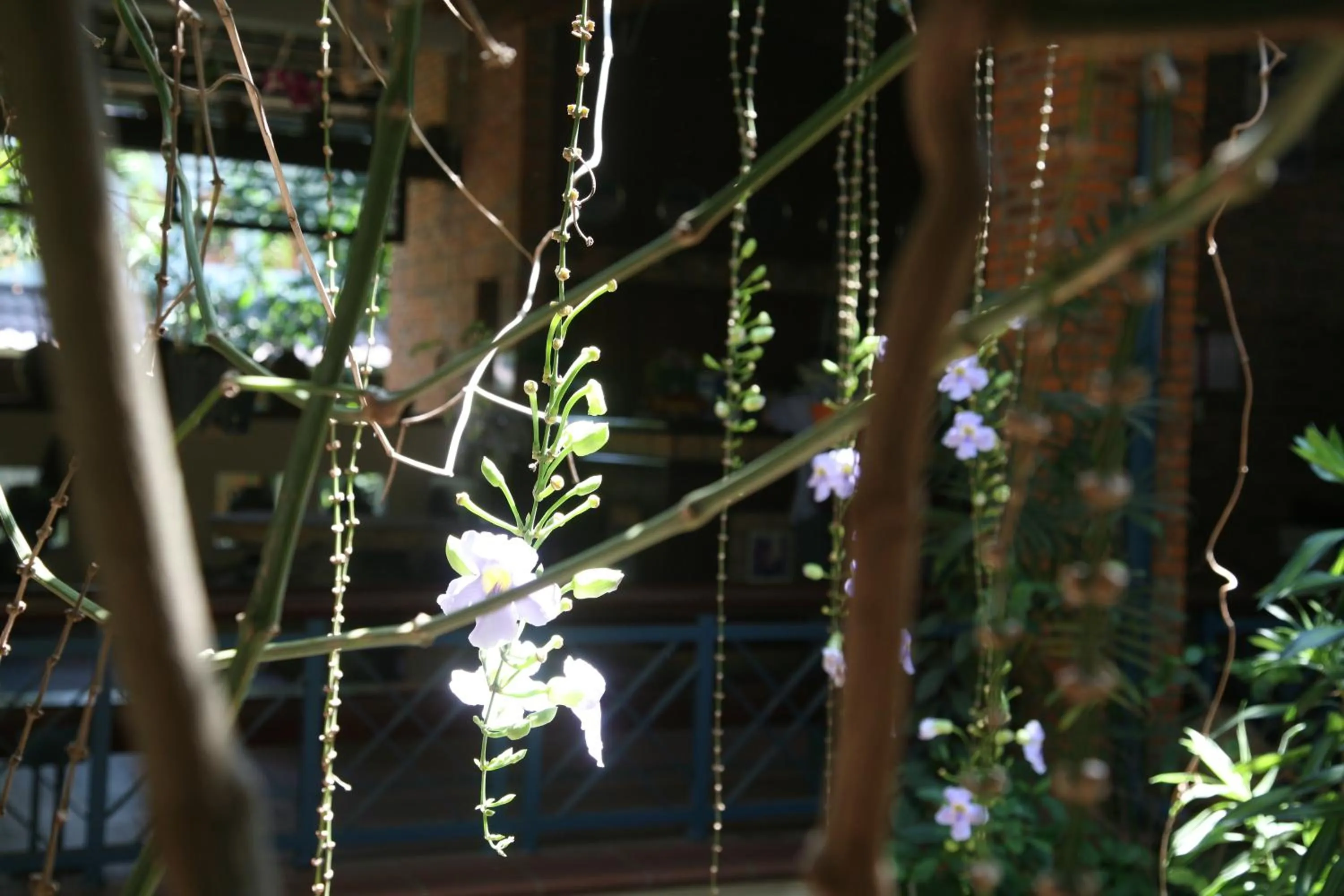 Natural landscape in Mui Ne Resort