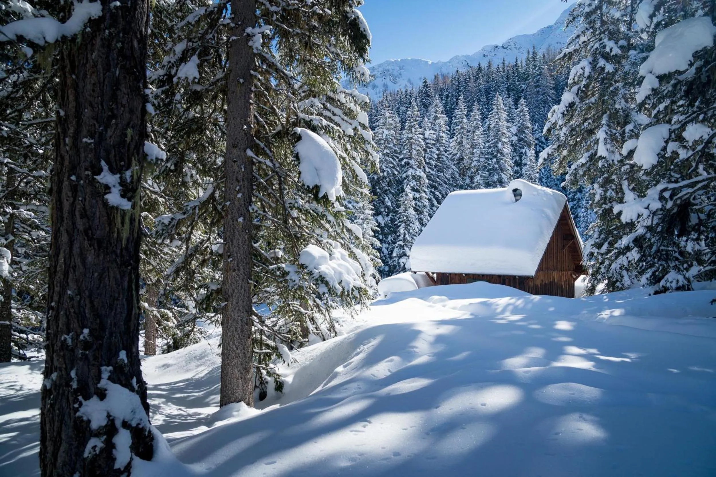 Area and facilities in Johannesbad Hotel Palace - Kinder bis 11 kostenfrei bis Dez