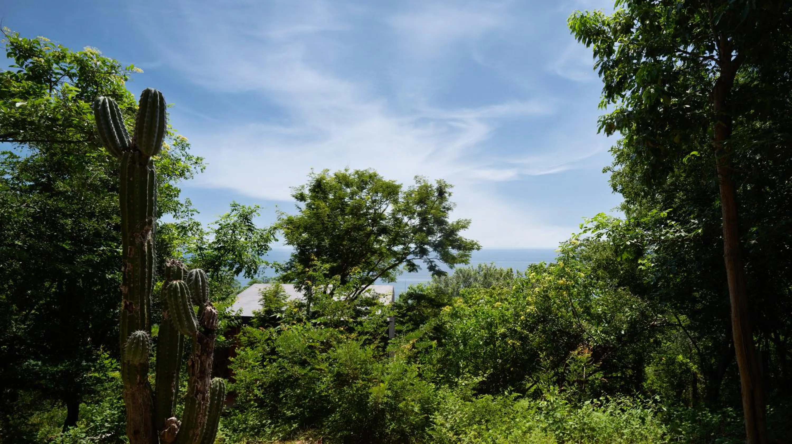 Garden view in Cocolia Hotel
