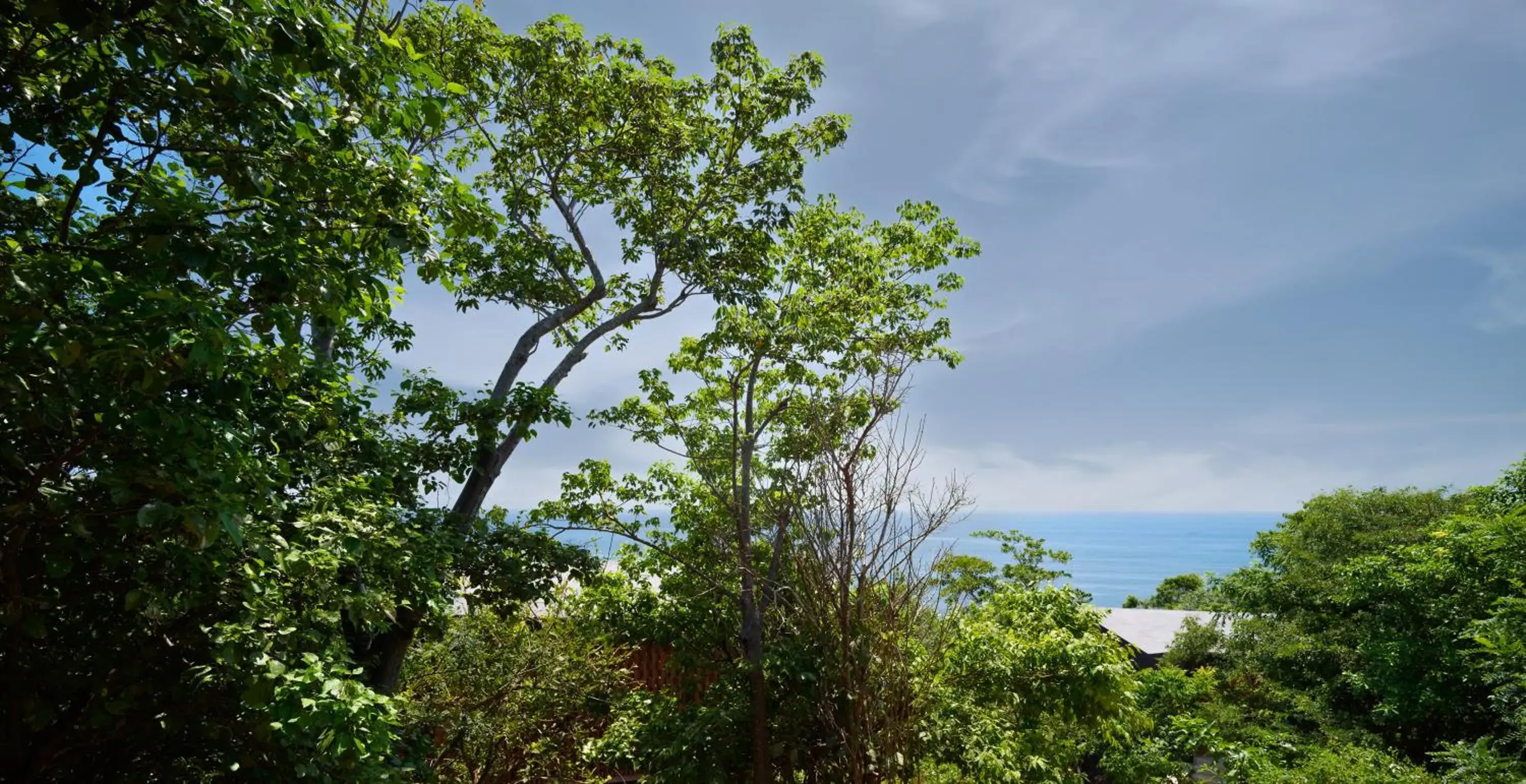 Bungalow - Water Front in Cocolia Hotel Bungalow - Water Front in Cocolia Hotel