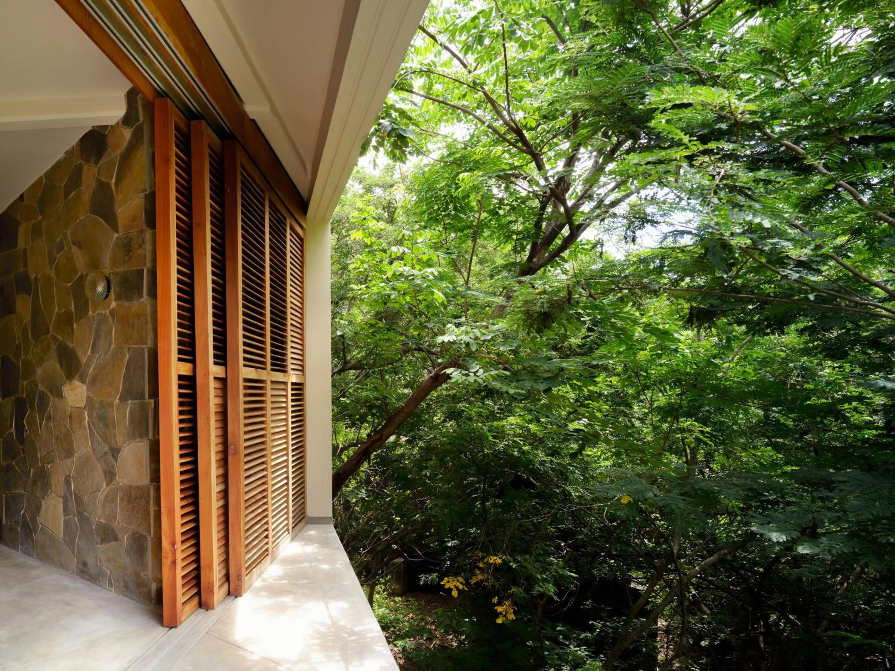 Garden in Cocolia Hotel