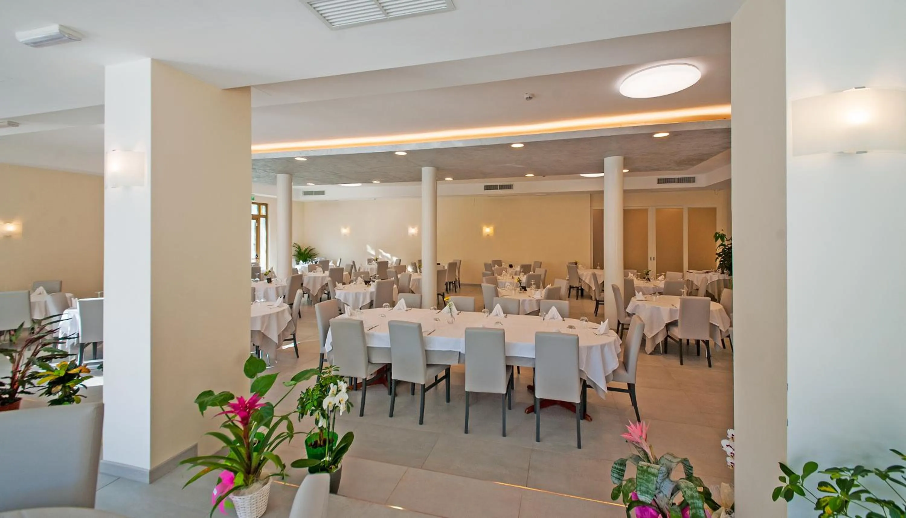 Restaurant/places to eat in Risthotel Airport