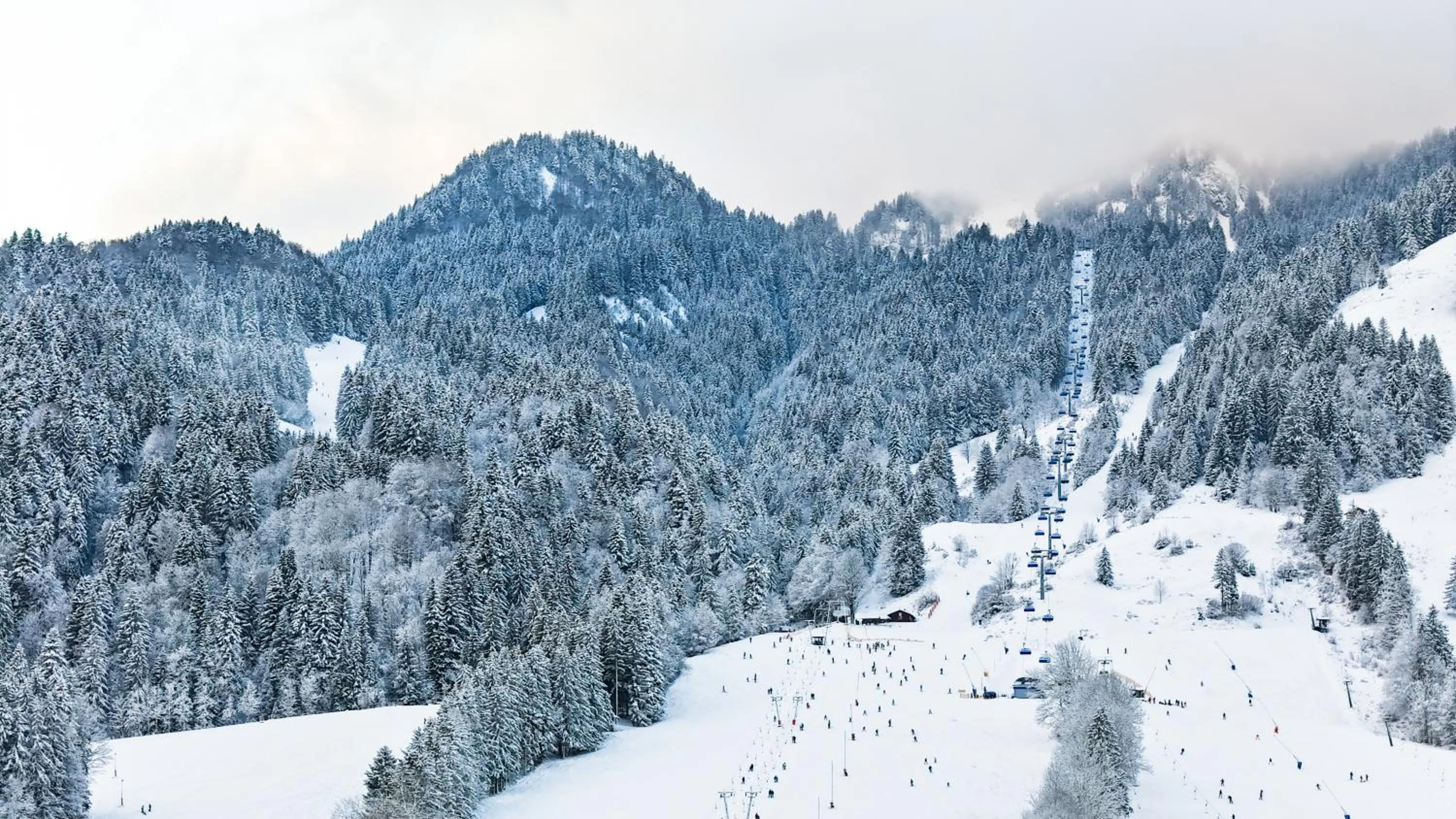 Day in Landgasthof zum Papyrer - Erholung im Urlaubsgebiet