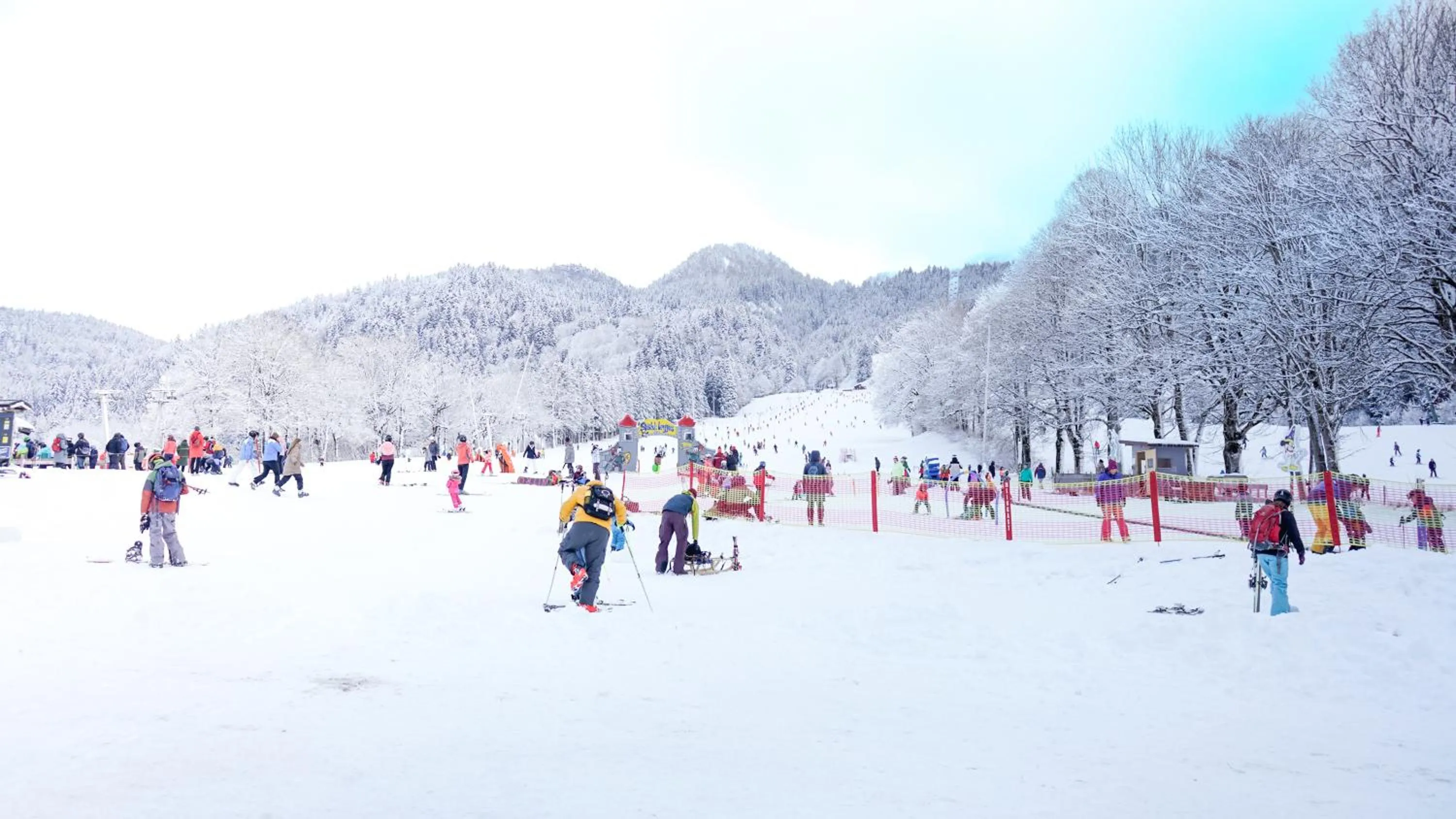 Day in Landgasthof zum Papyrer - Erholung im Urlaubsgebiet