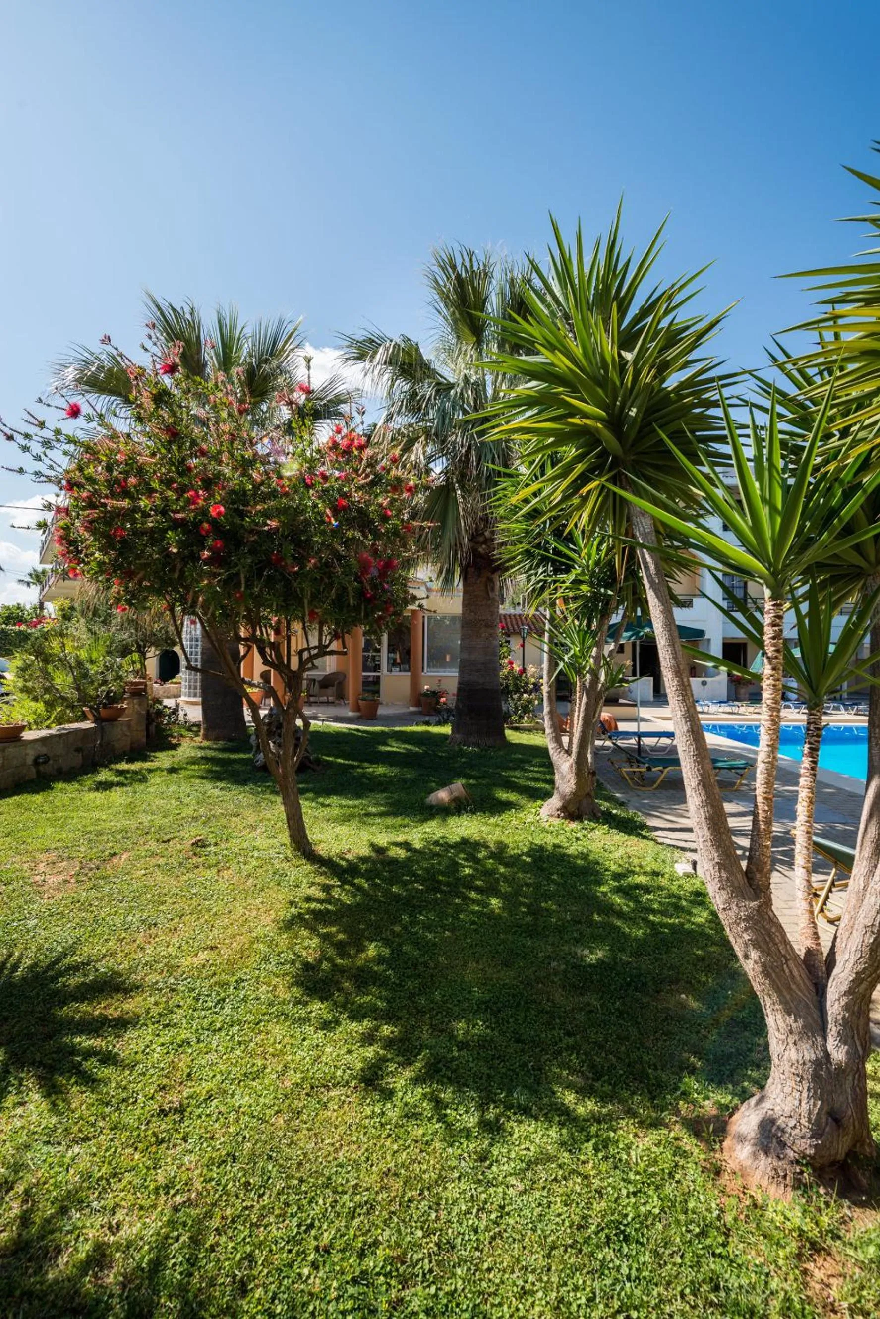 Garden in Nireas Hotel