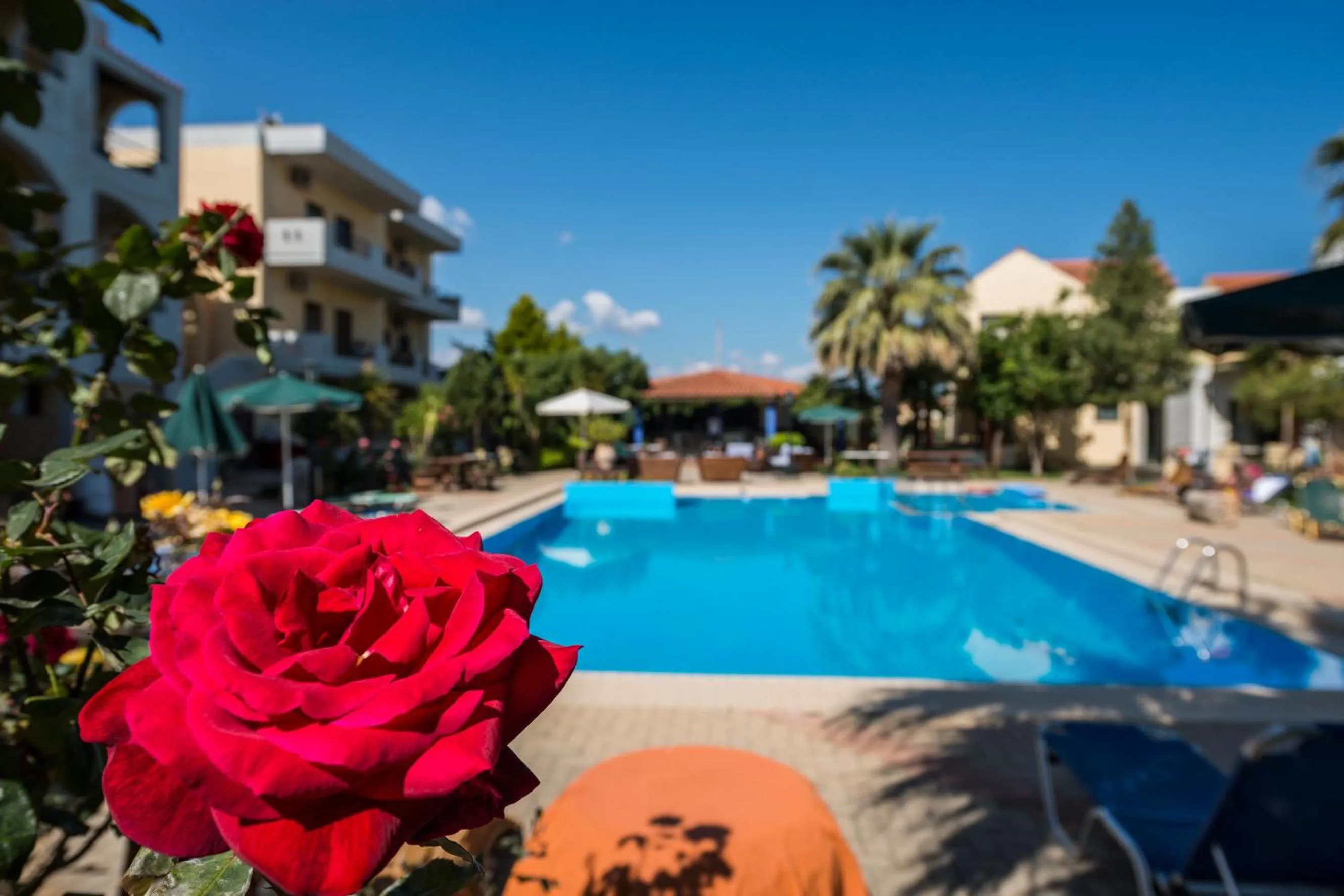 Swimming pool in Nireas Hotel