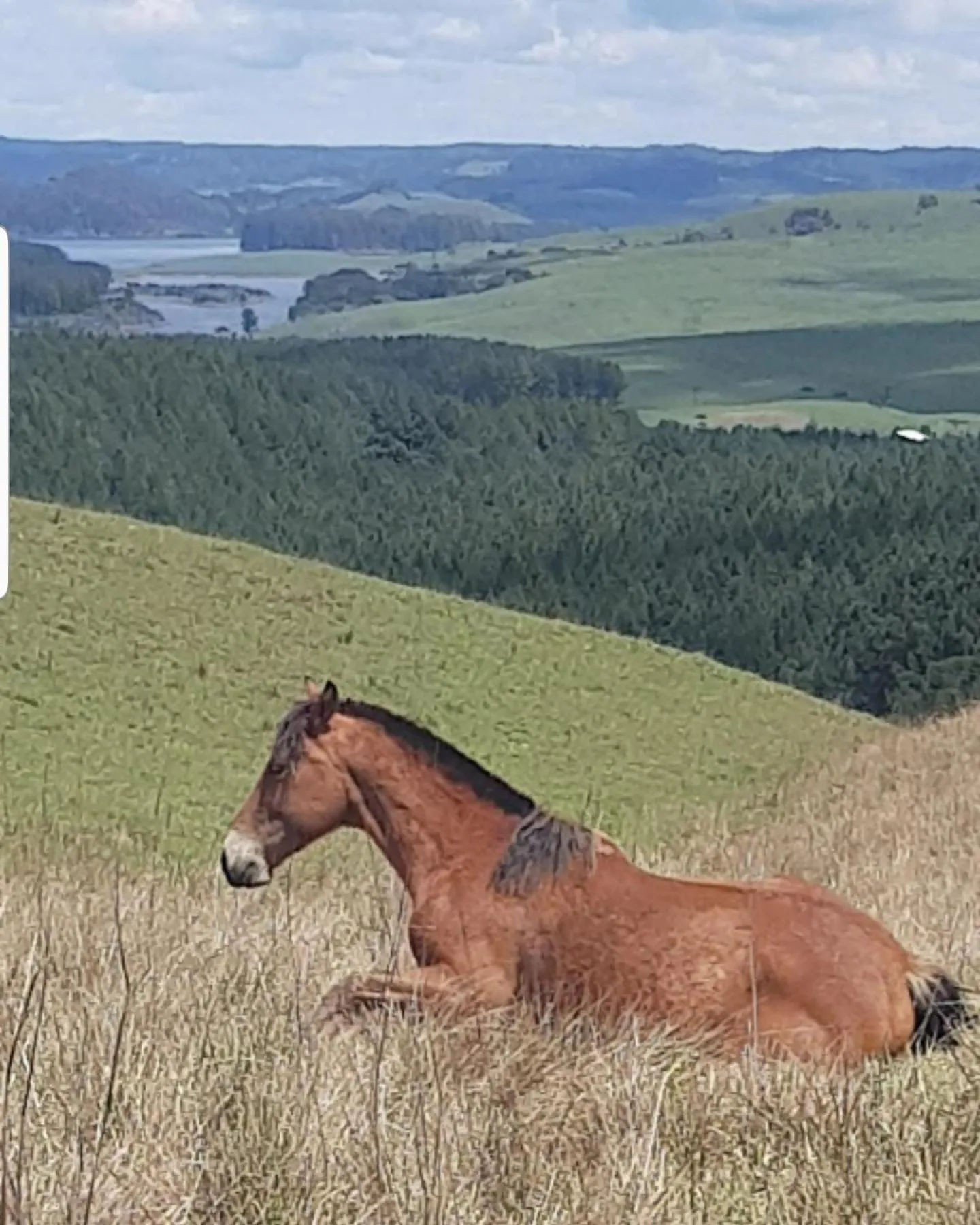 Animals in Tedesco Eco Park