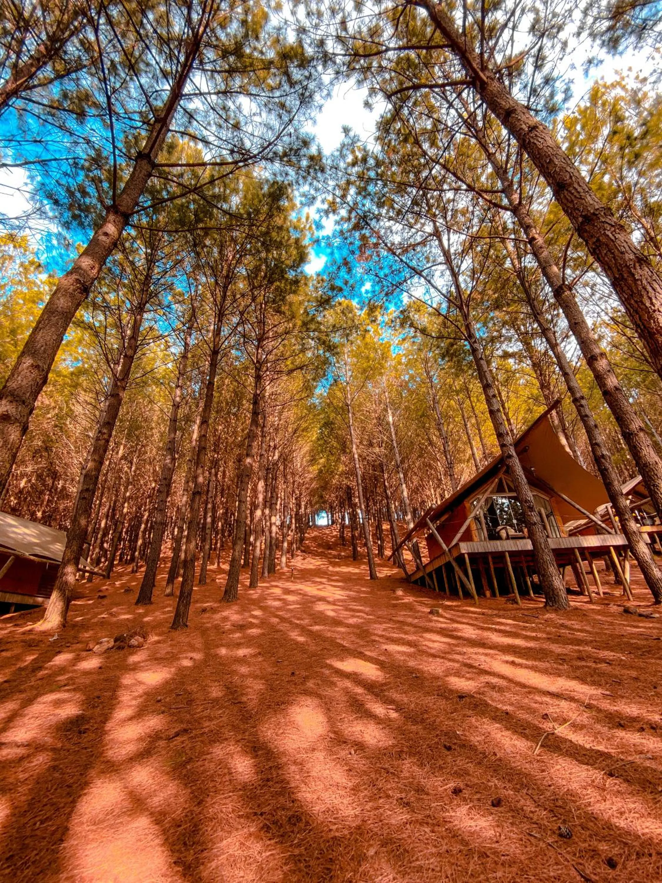Natural landscape in Tedesco Eco Park