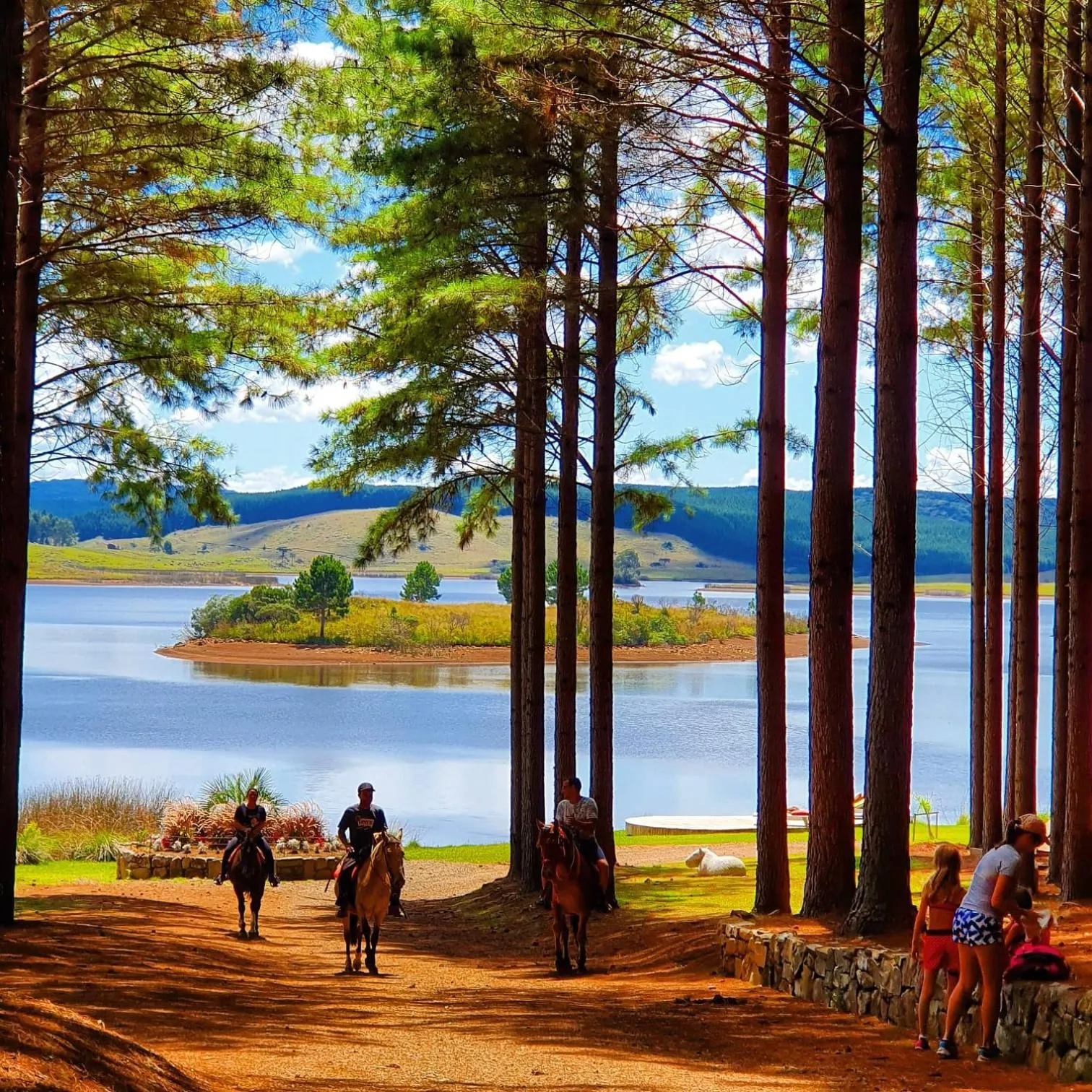 Spring in Tedesco Eco Park