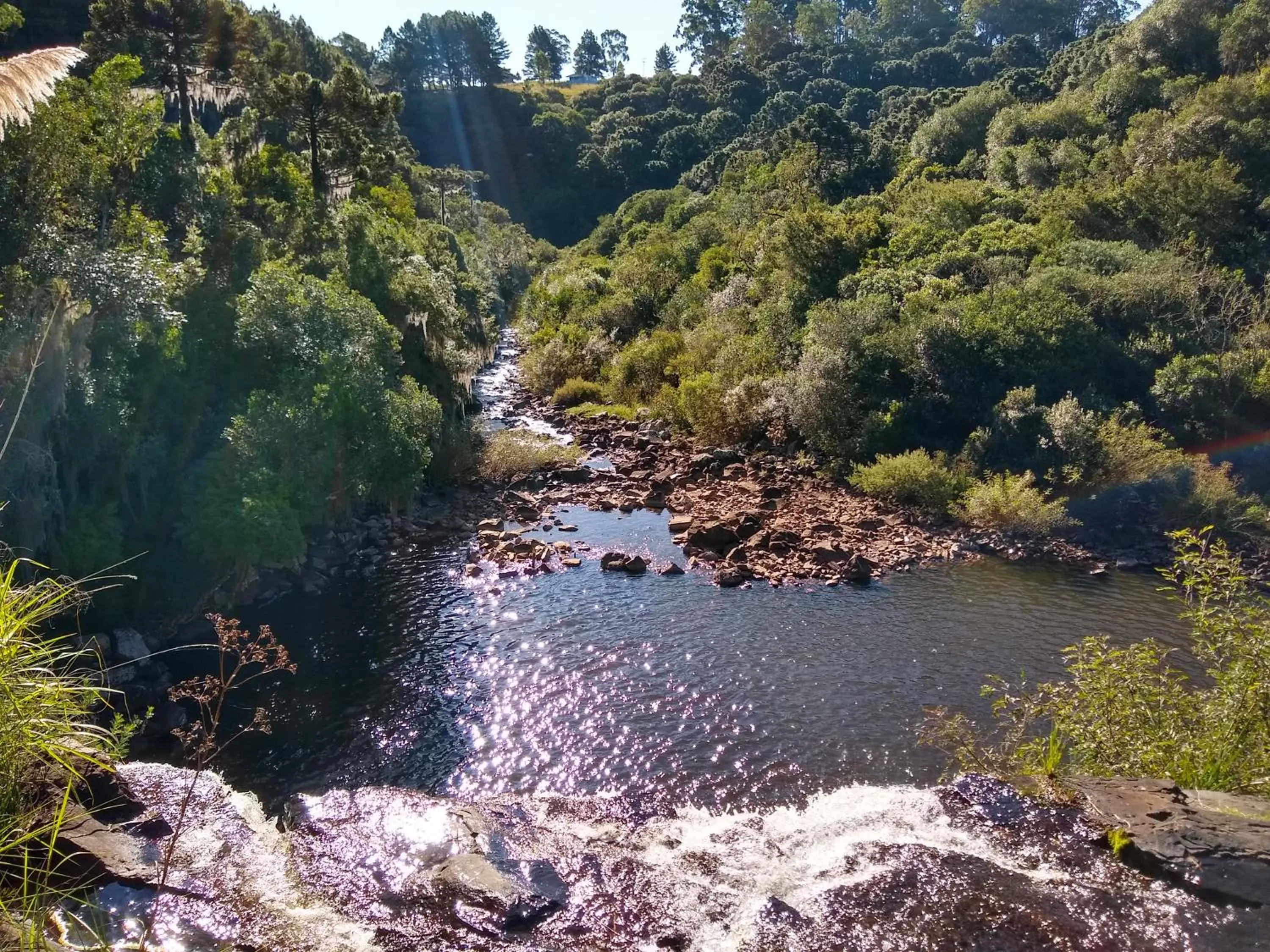 Natural landscape in Tedesco Eco Park
