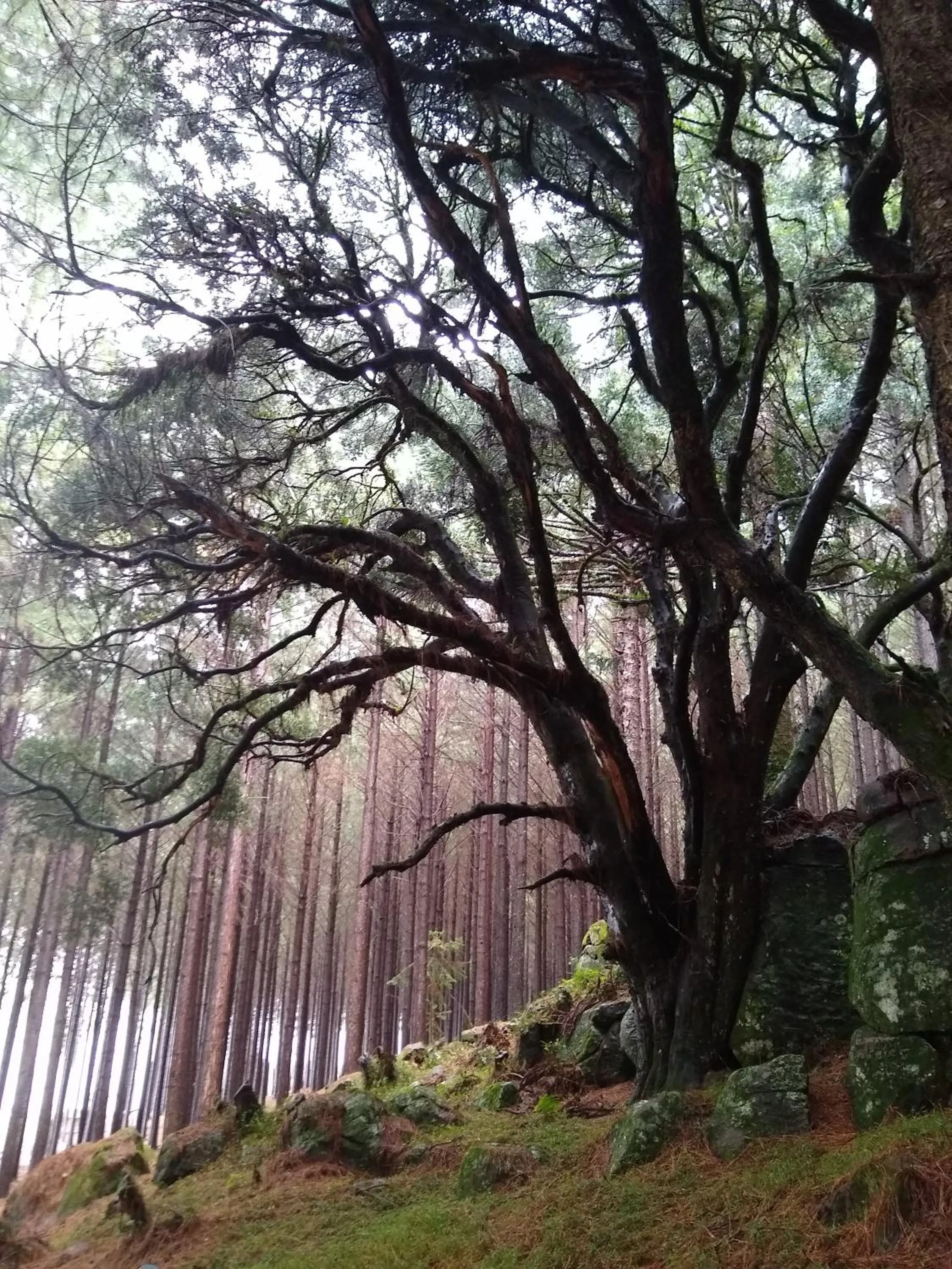 Natural landscape in Tedesco Eco Park