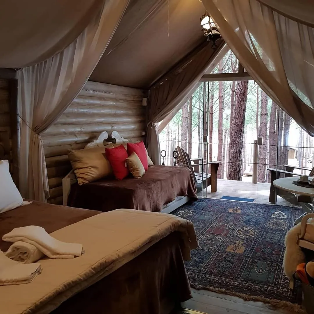 Photo of the whole room, Bed in Tedesco Eco Park