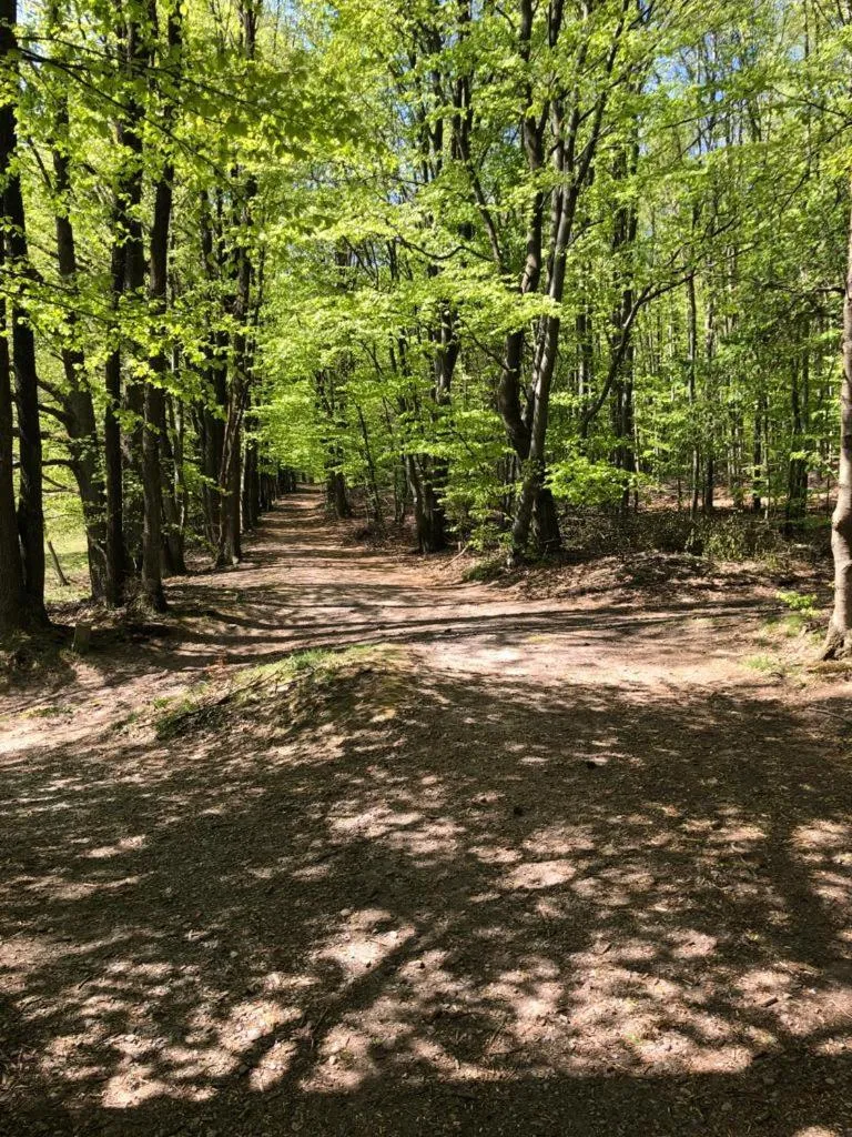 Hiking in Serways Hotel Spessart