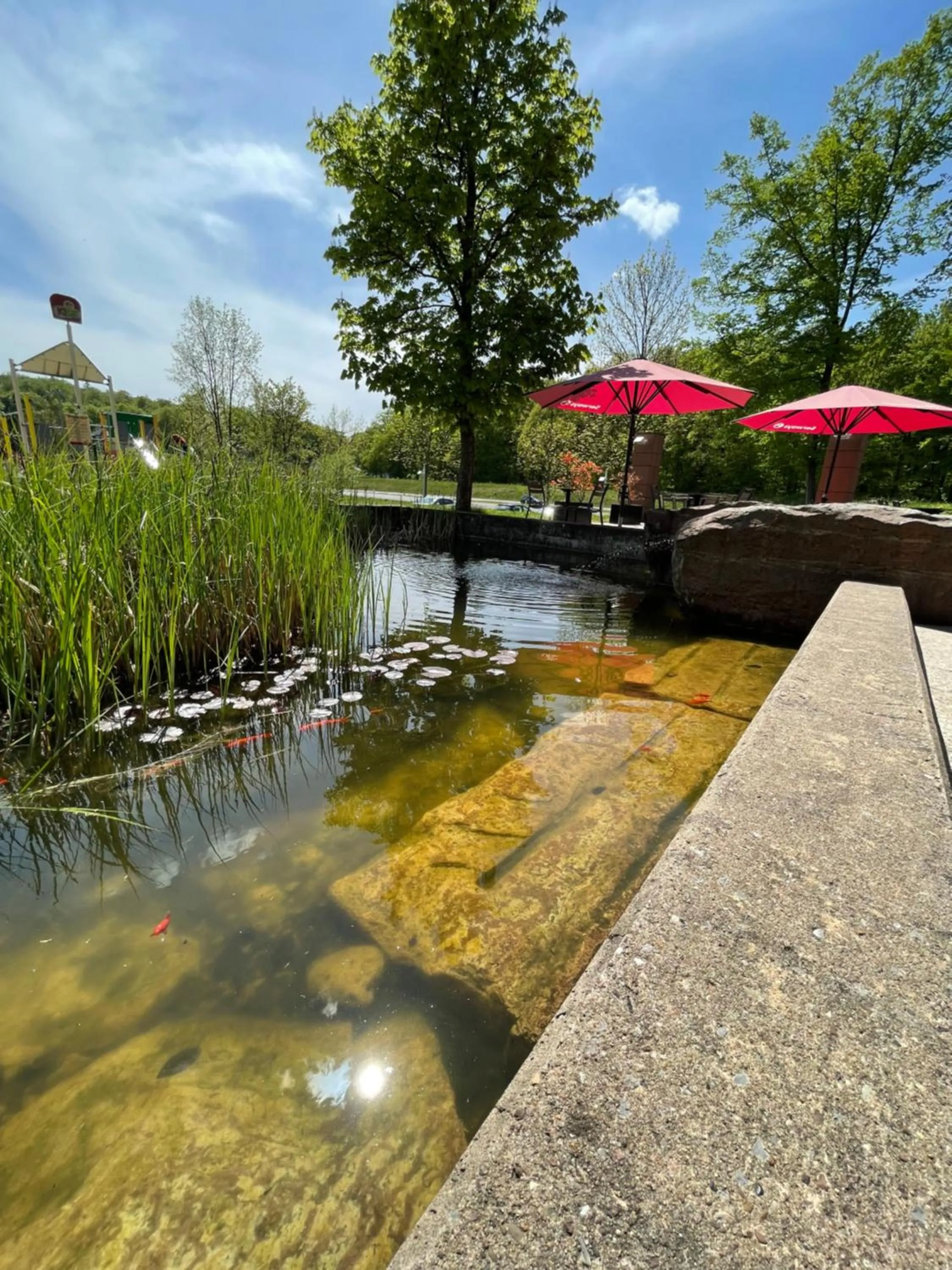 Area and facilities in Serways Hotel Spessart