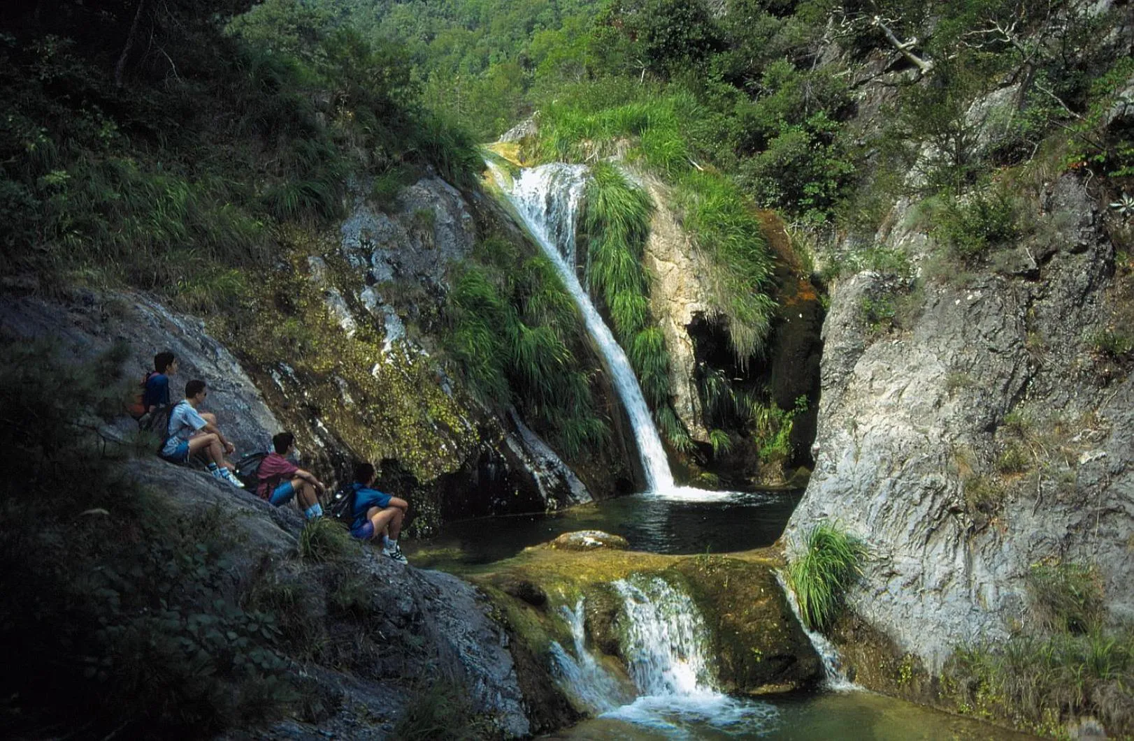 Natural landscape in Hotel Platon Beach