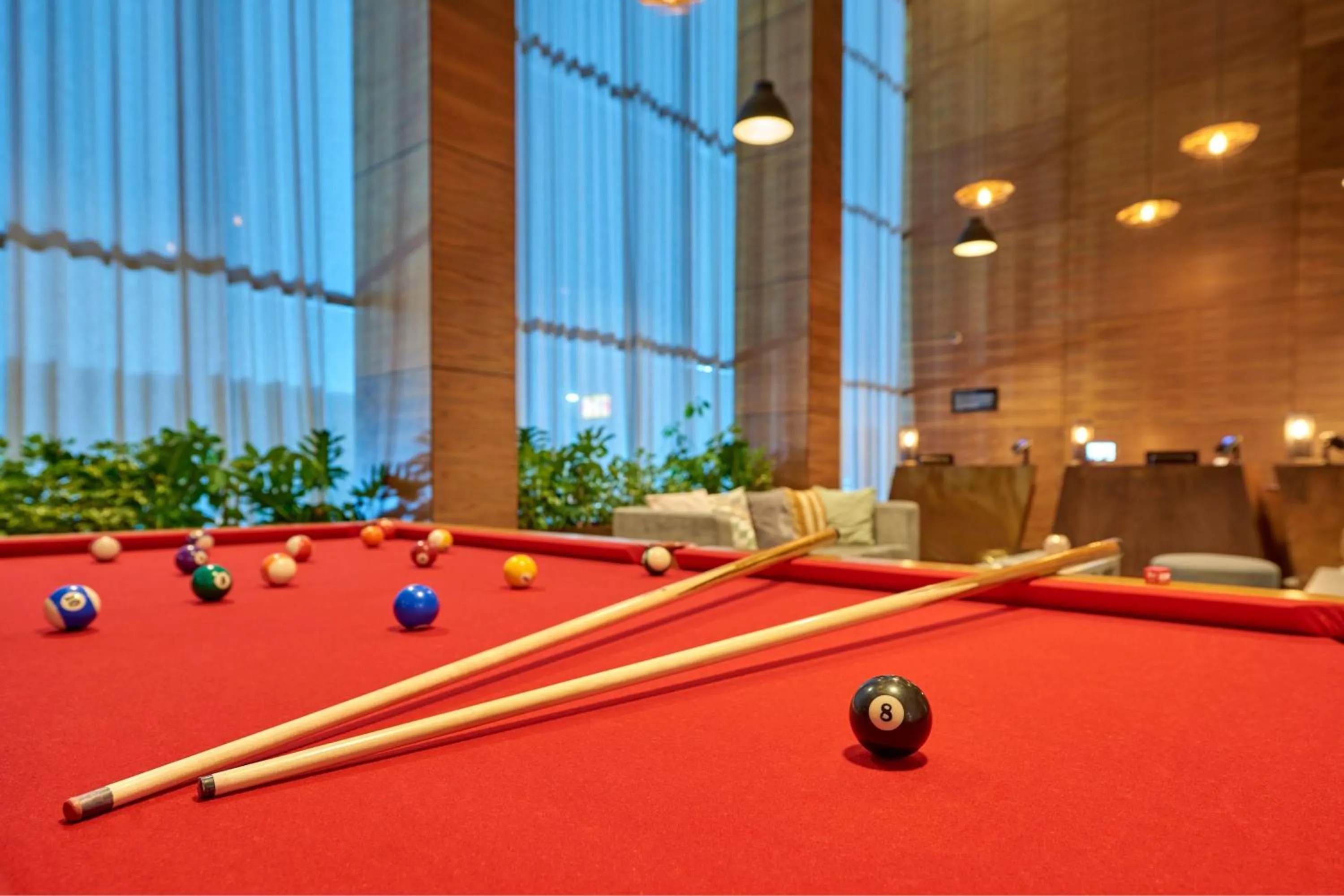 Swimming pool in City Express Plus by Marriott Tijuana