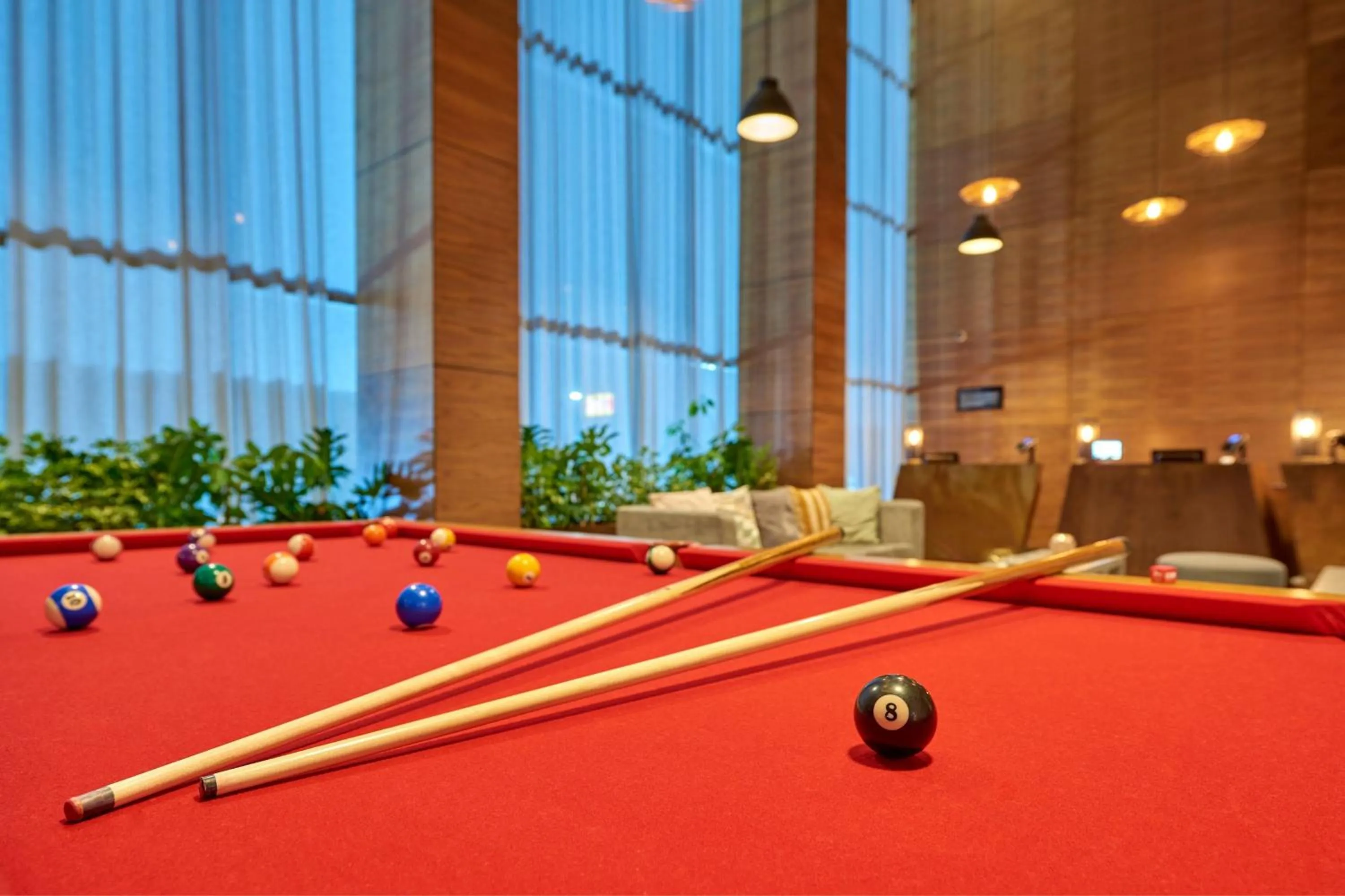 Swimming pool in City Express Plus by Marriott Tijuana