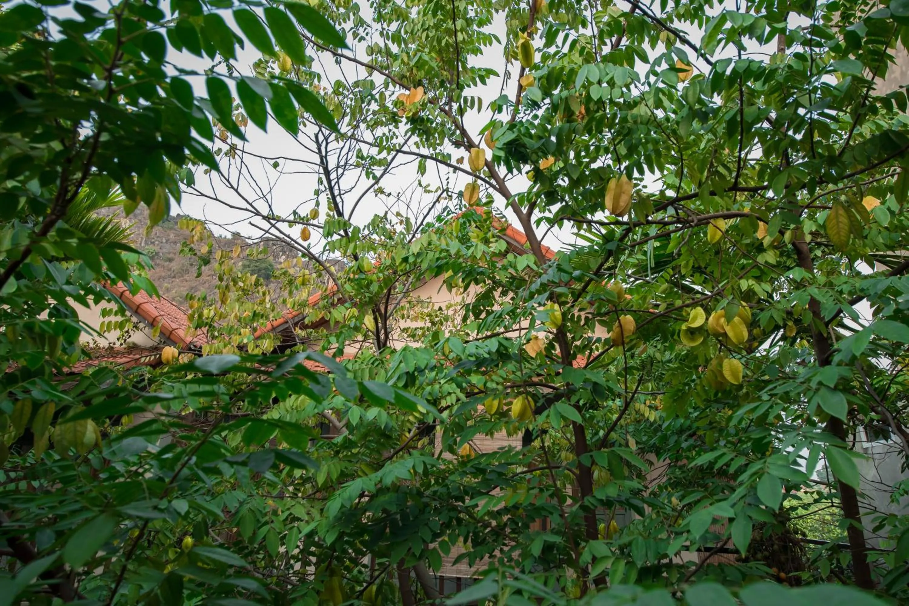 Patio in LittleTamCoc Boutique Villa Ninh Binh