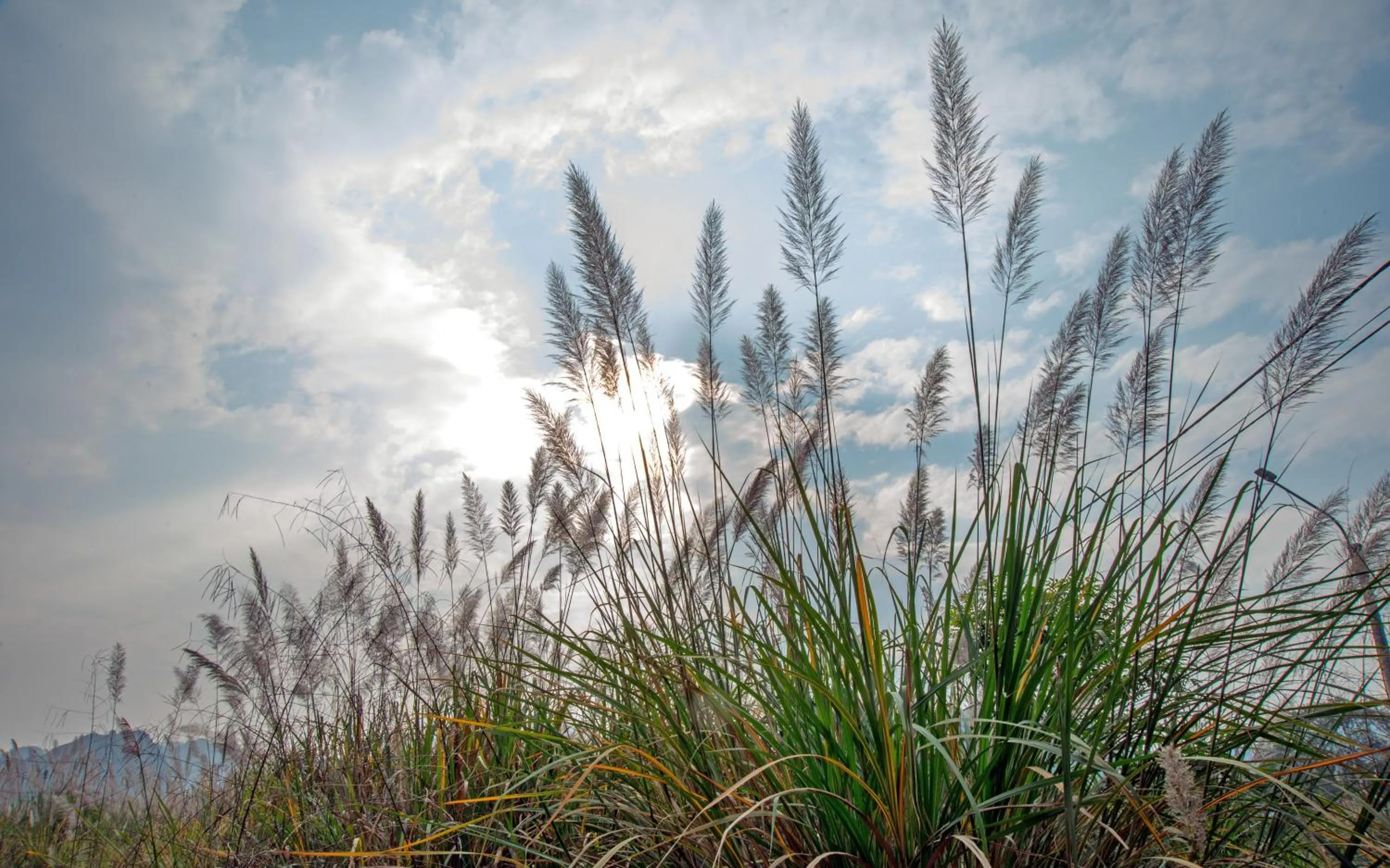 Natural landscape in LittleTamCoc Boutique Villa Ninh Binh