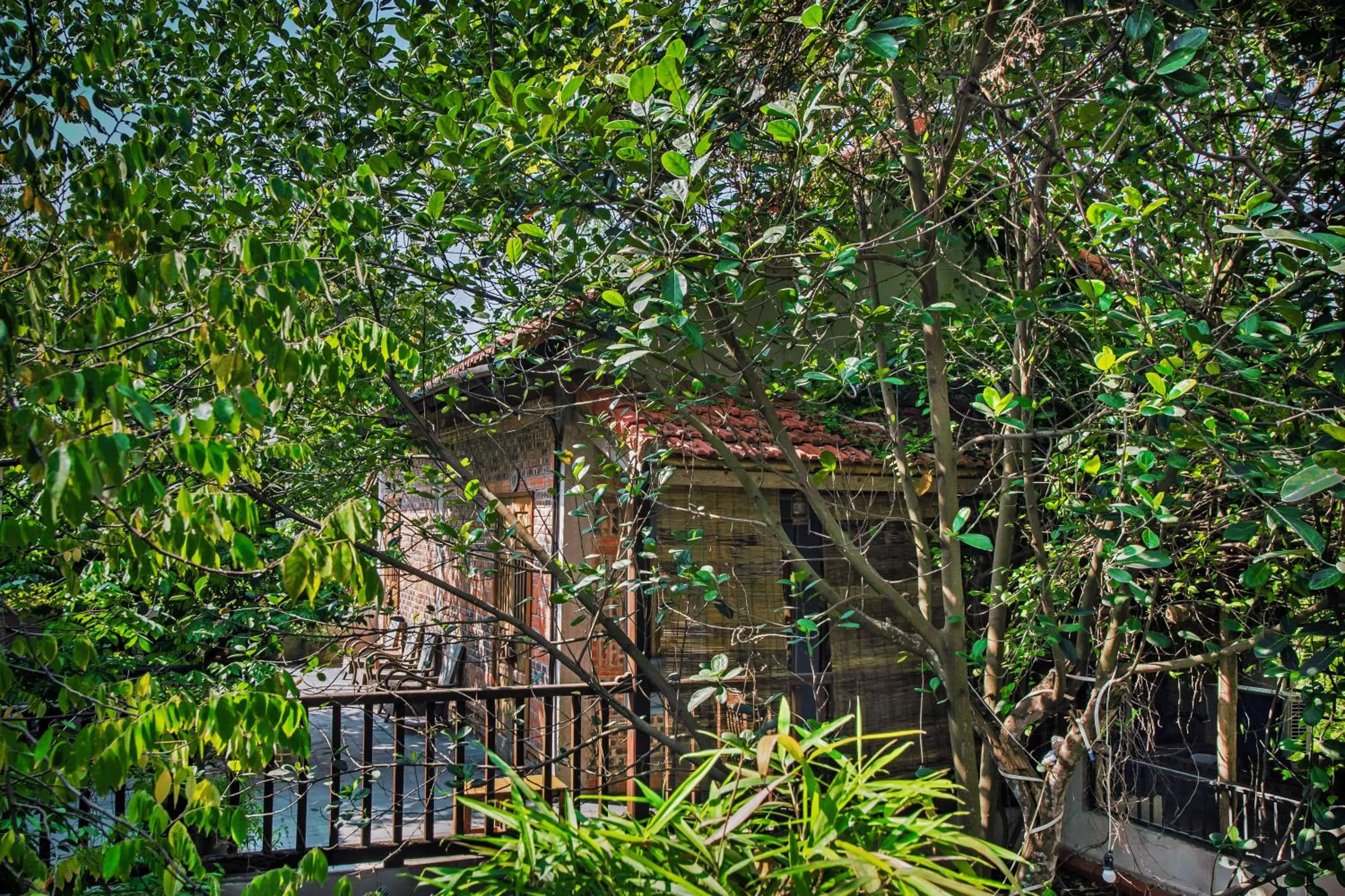 Patio in LittleTamCoc Boutique Villa Ninh Binh