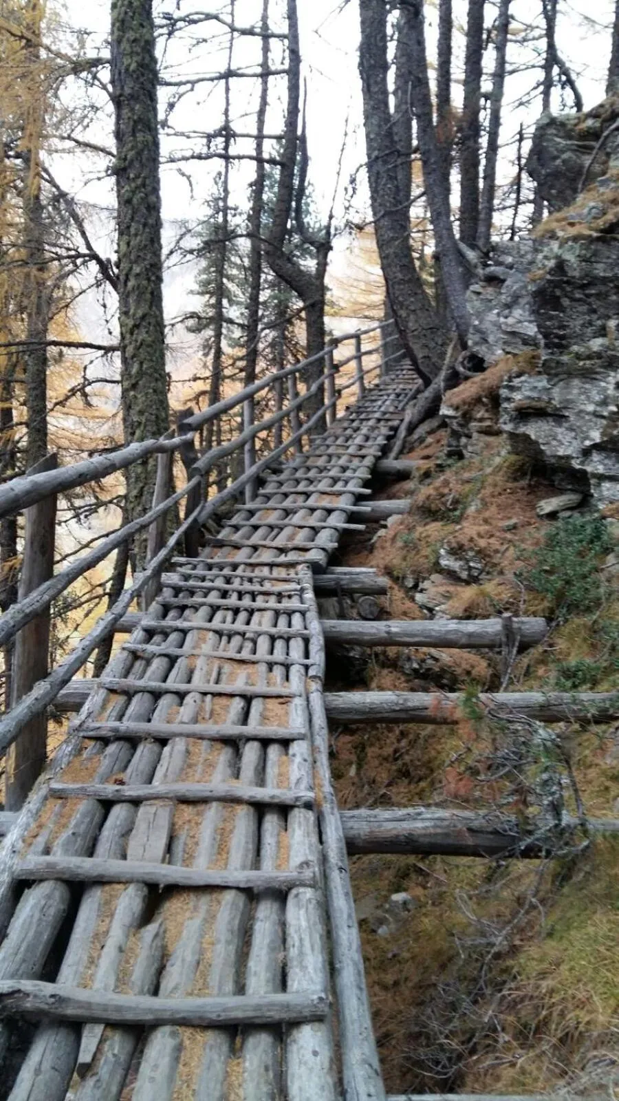 Hiking in Appartment Maria