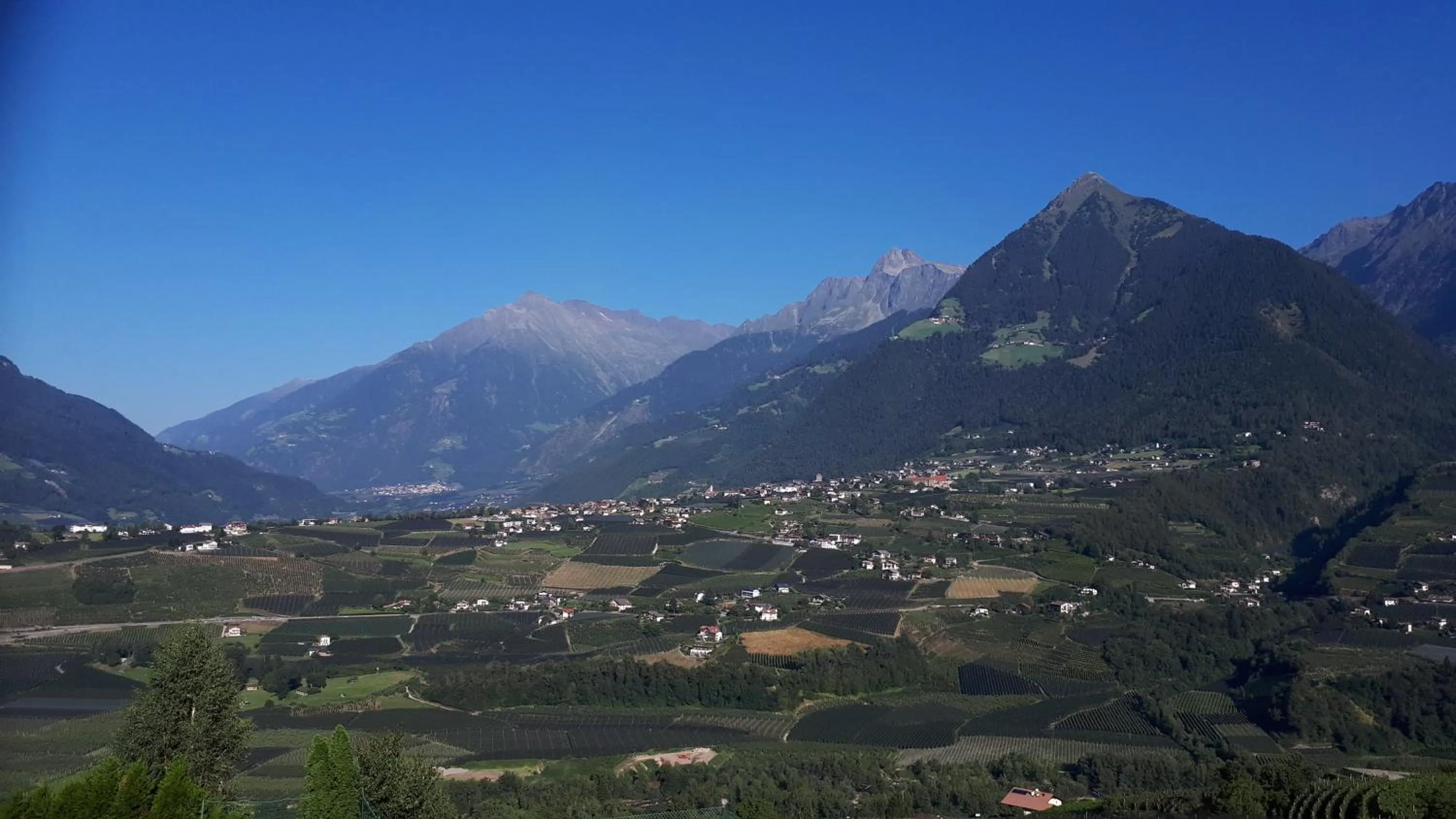 Mountain view in Appartment Maria