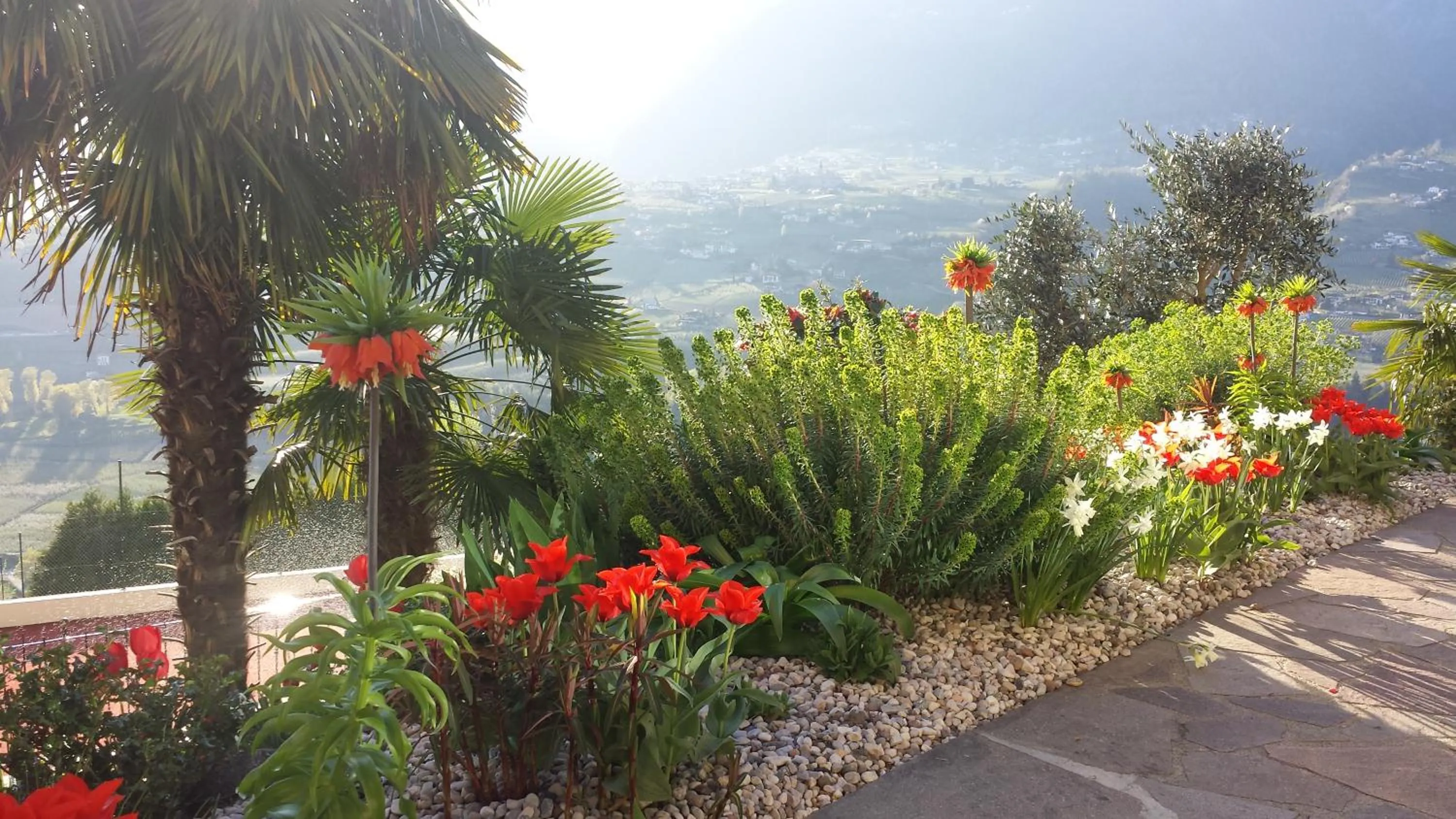 Property building in Appartment Maria