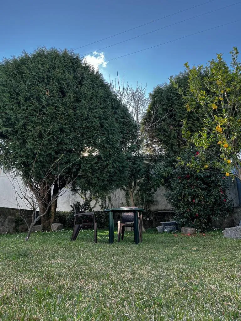 Garden in AirPorto Hostel