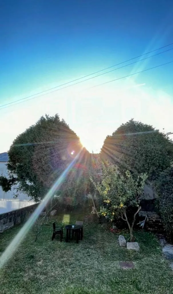 Garden in AirPorto Hostel