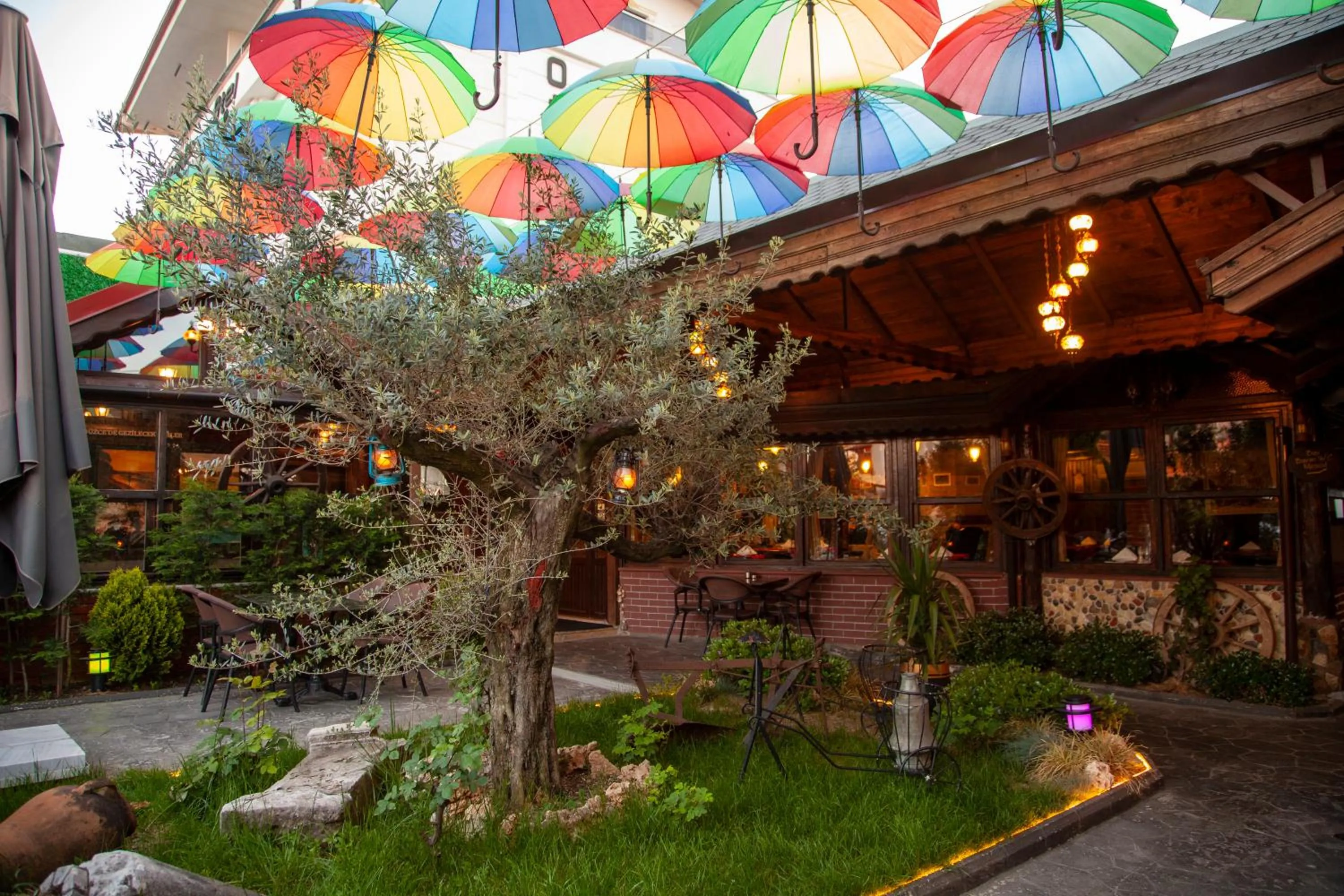 Garden in AKCAKOCA EFTELYA OTEl