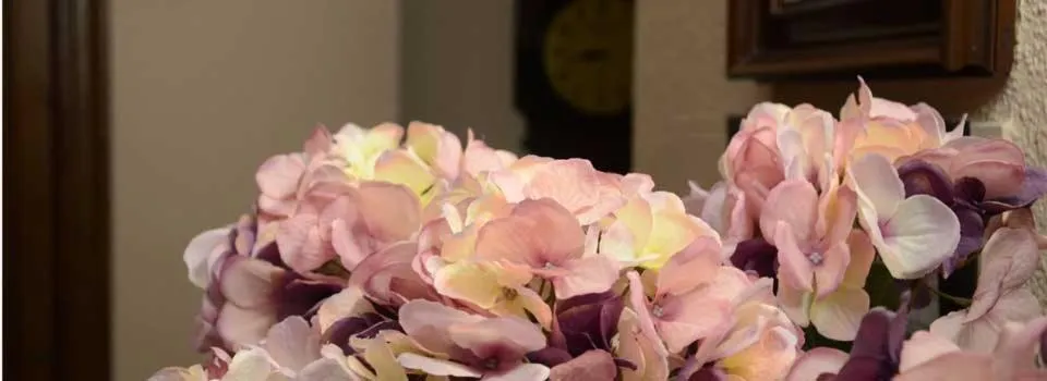 Property building in Hostal Rural Moratín