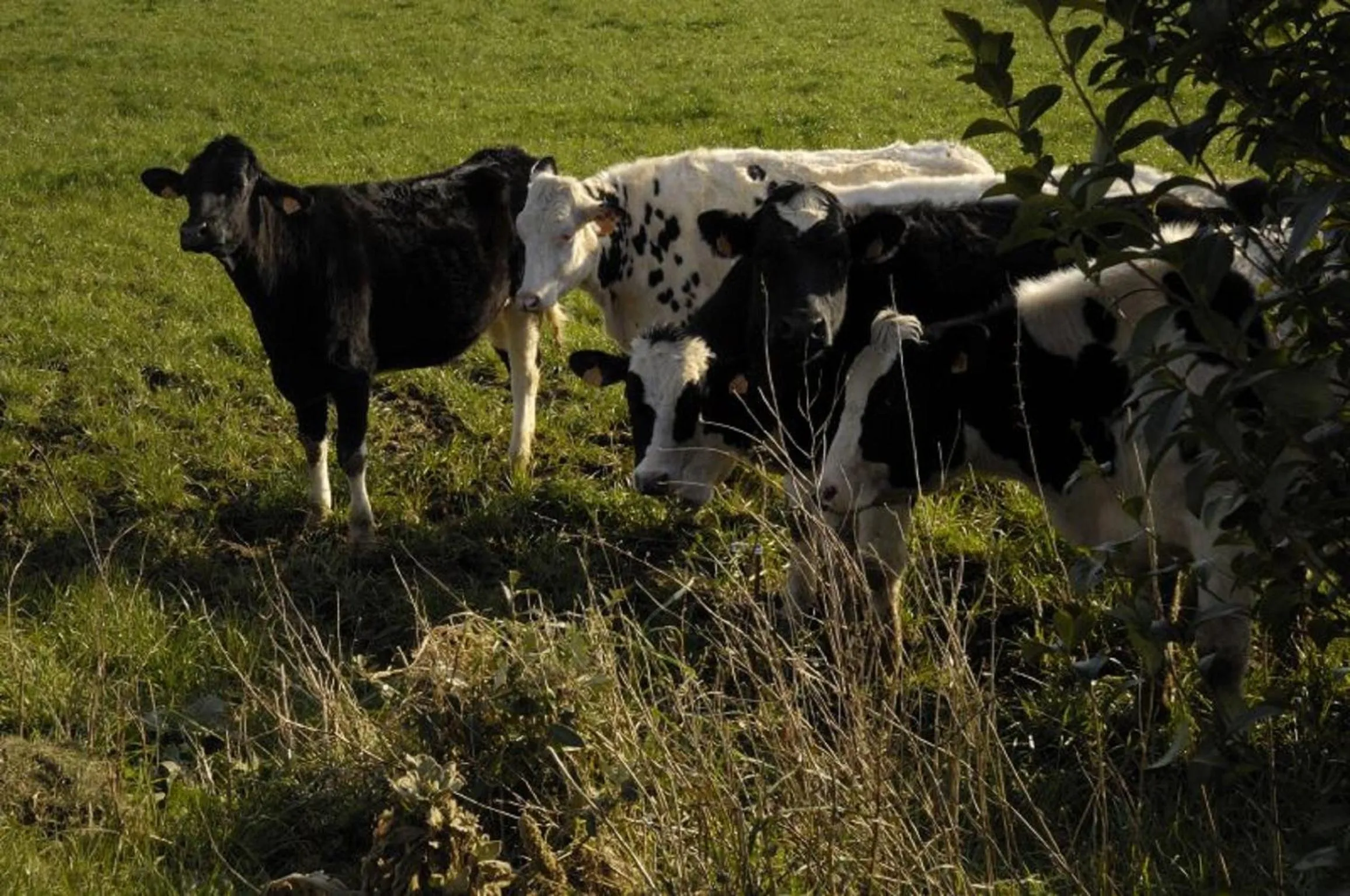 Natural landscape in Domaine de Kerzuat